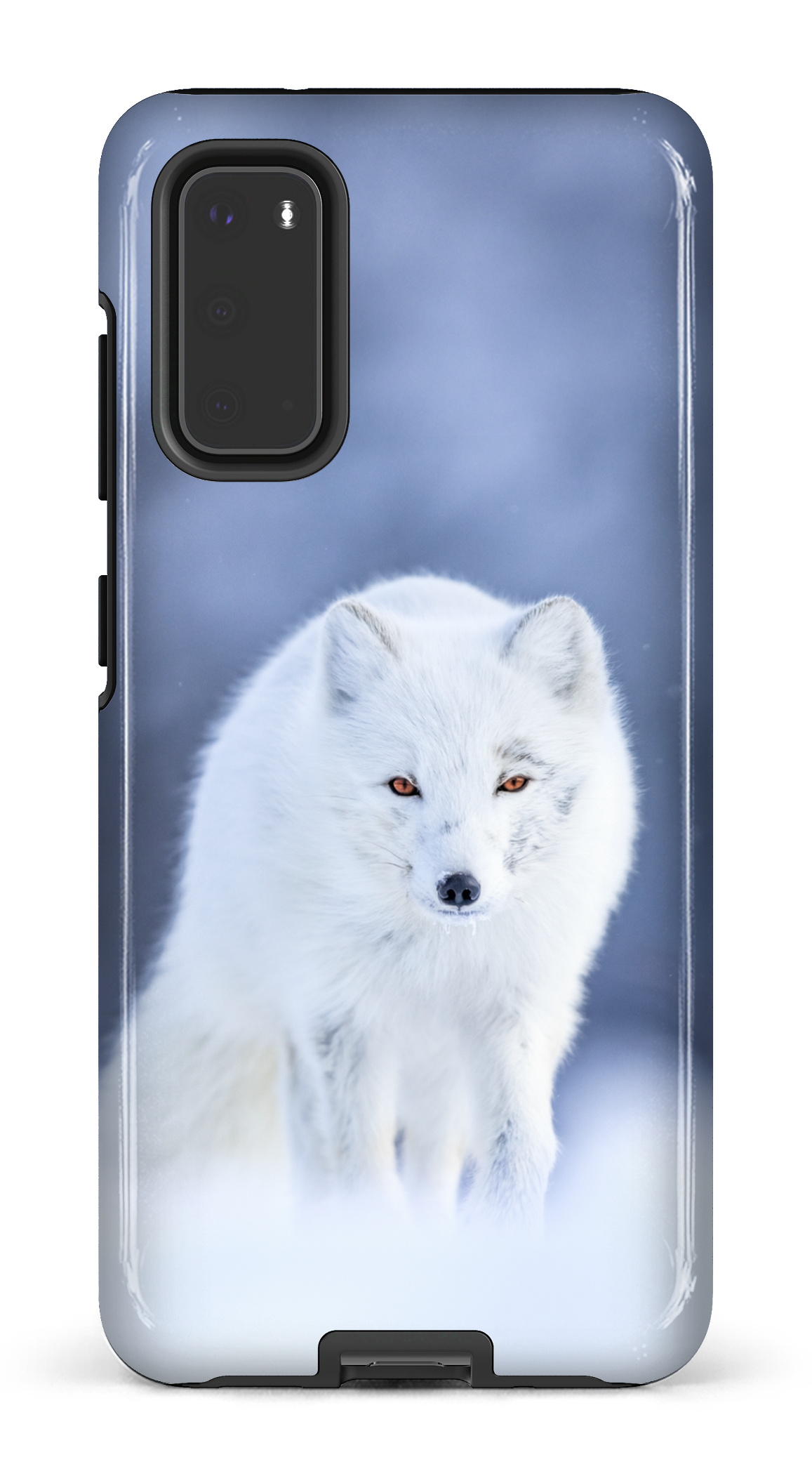 Arctique
