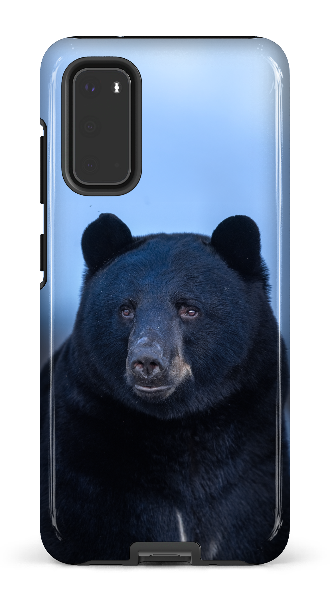 Ours bleu