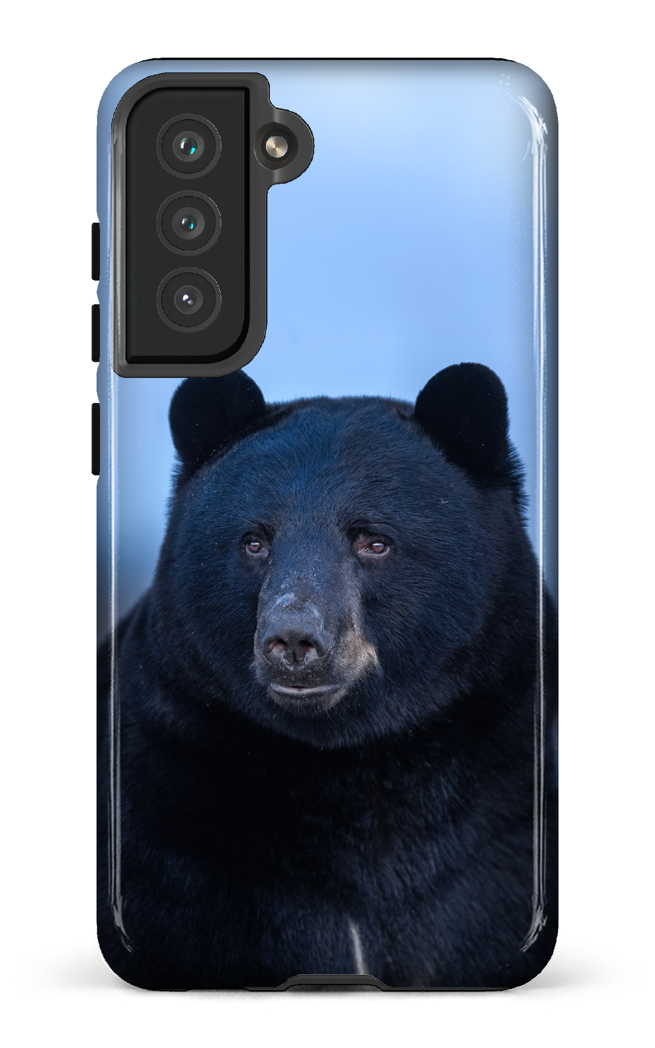Ours bleu