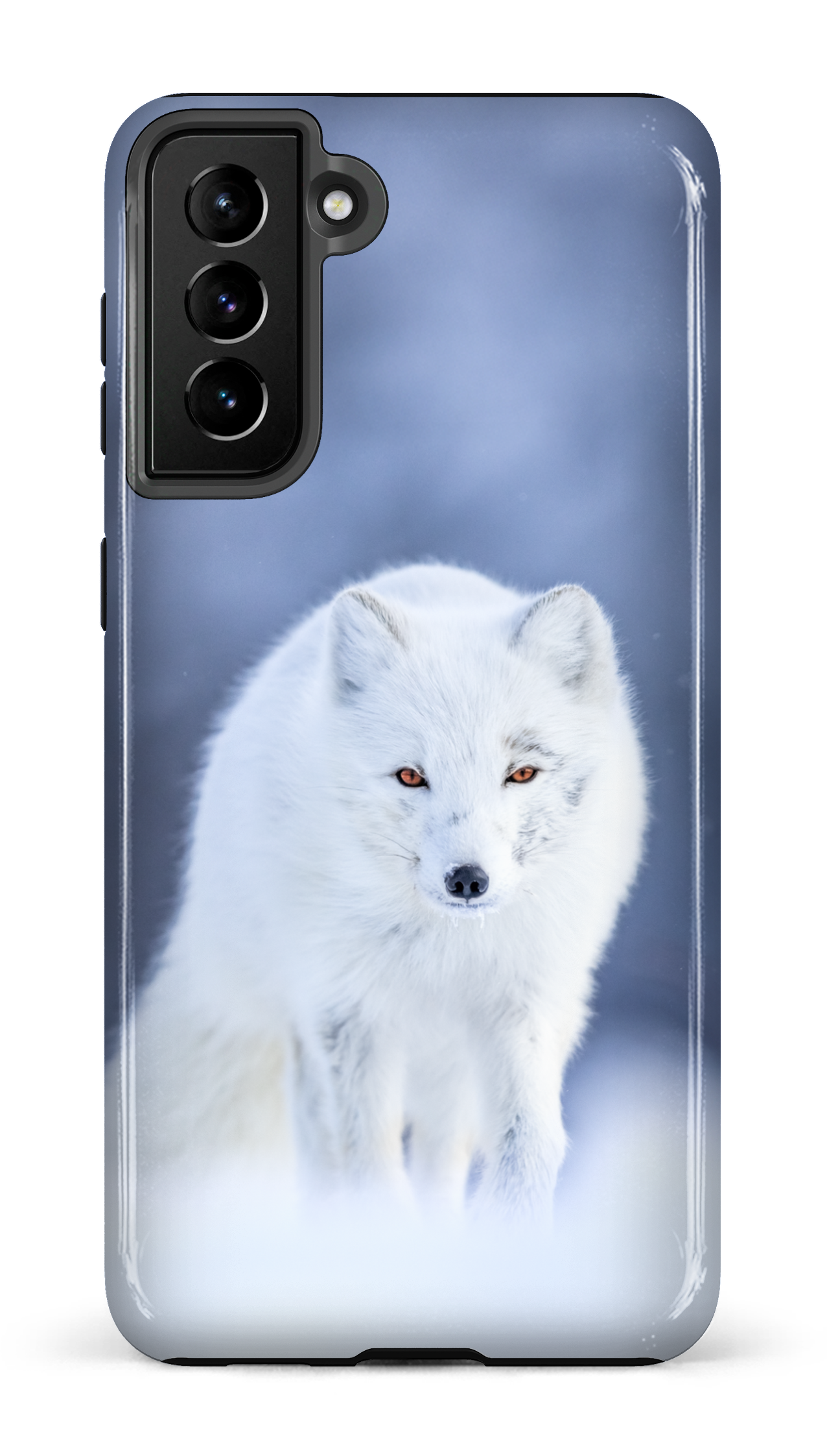 Arctique
