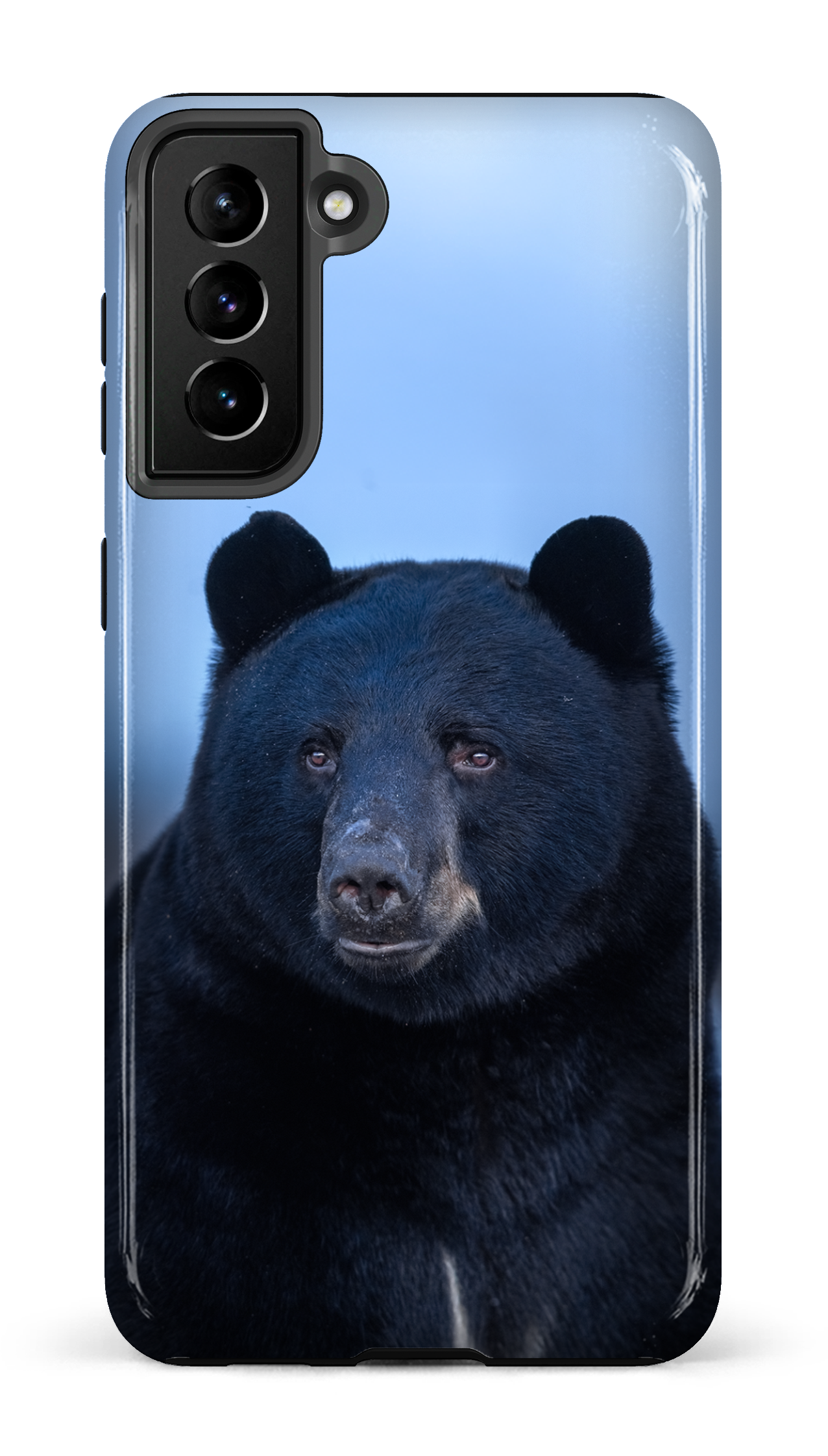 Ours bleu