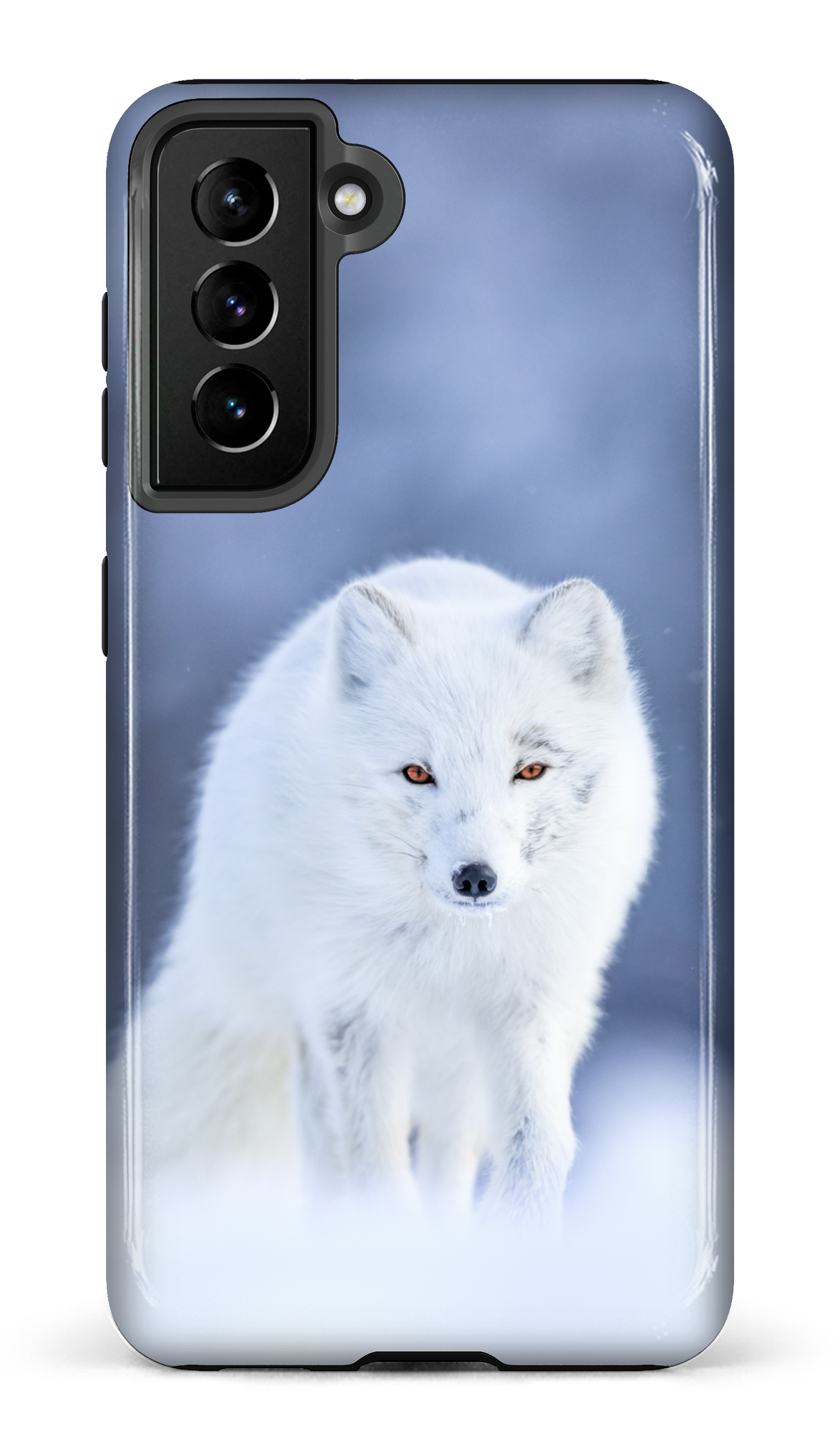 Arctique