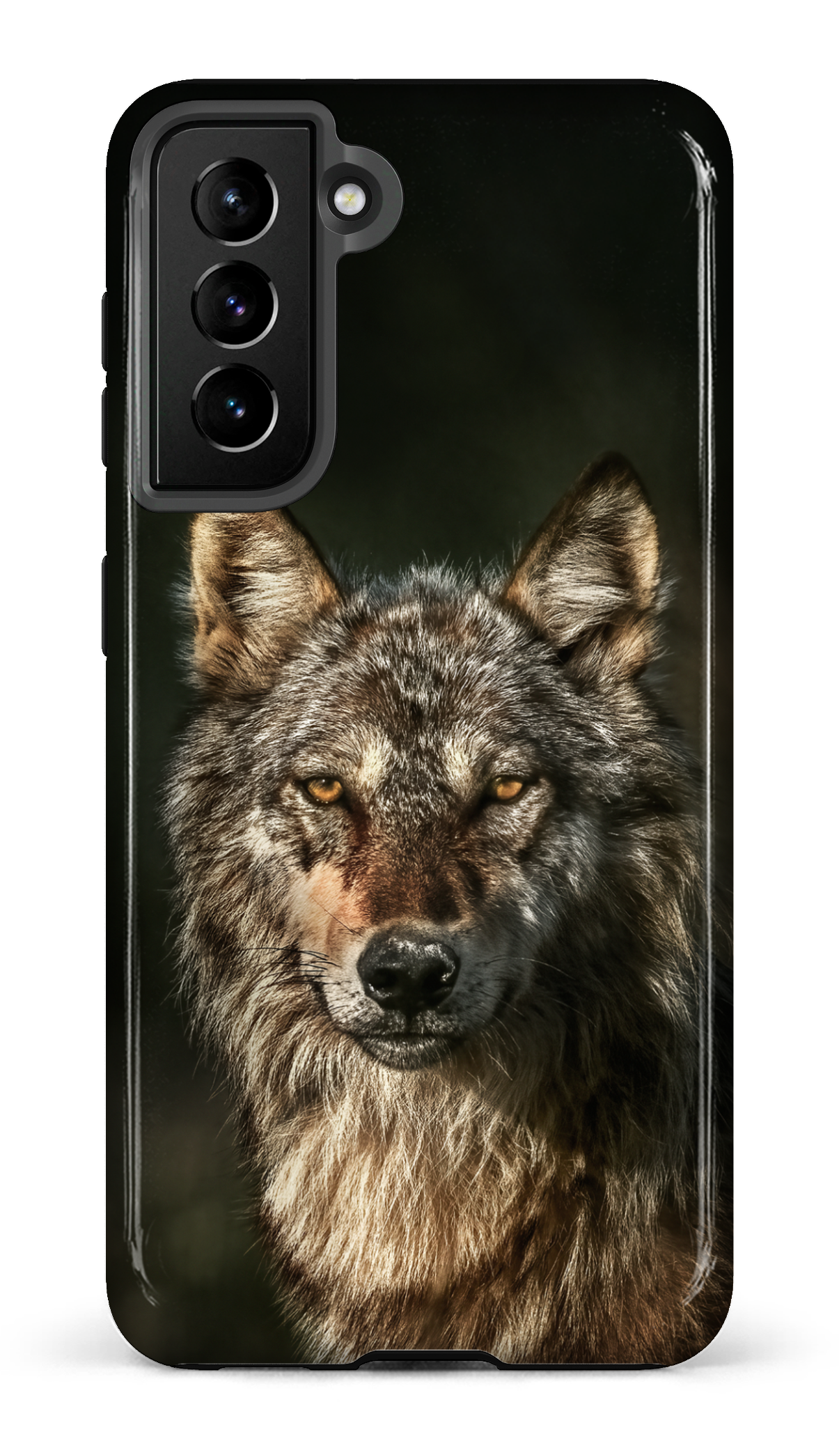 Loups