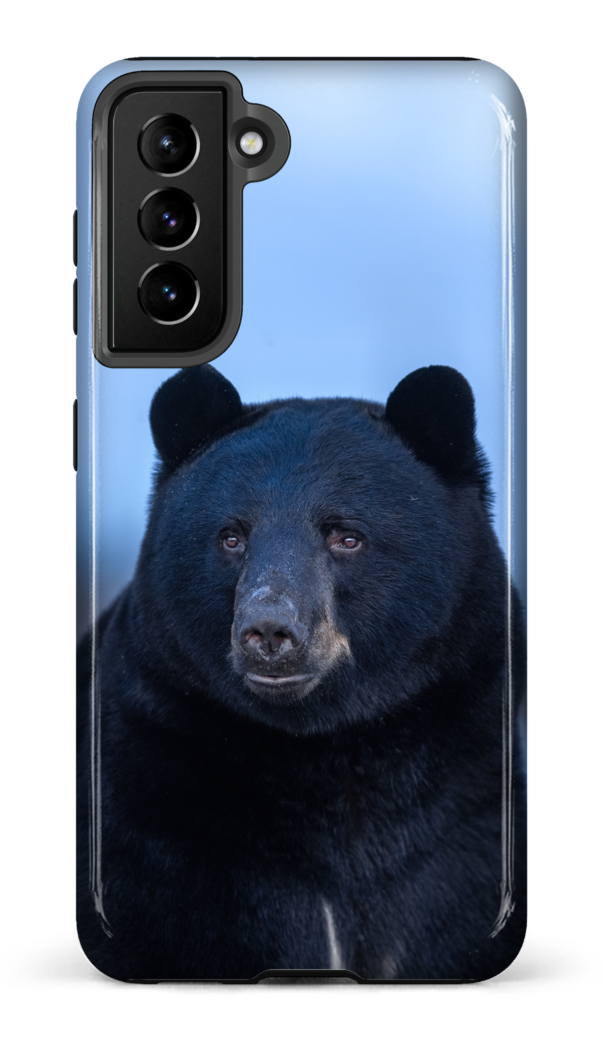Ours bleu