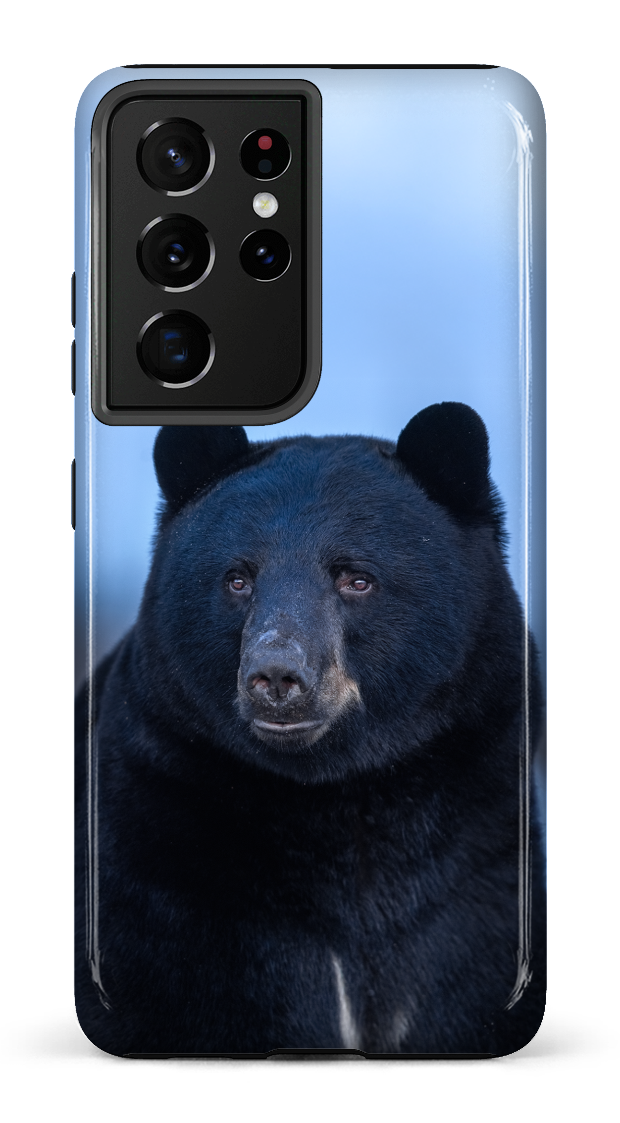 Ours bleu