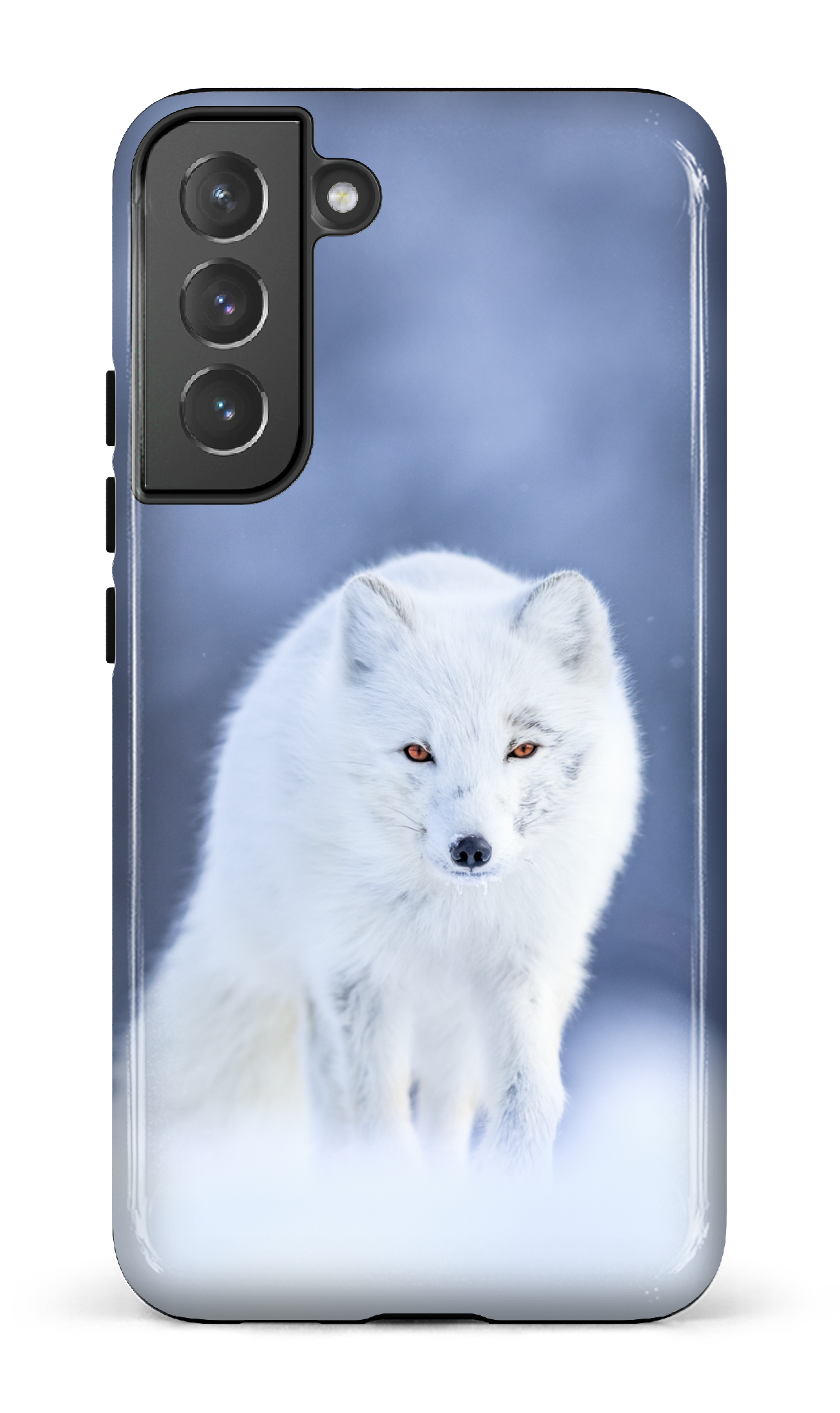 Arctique