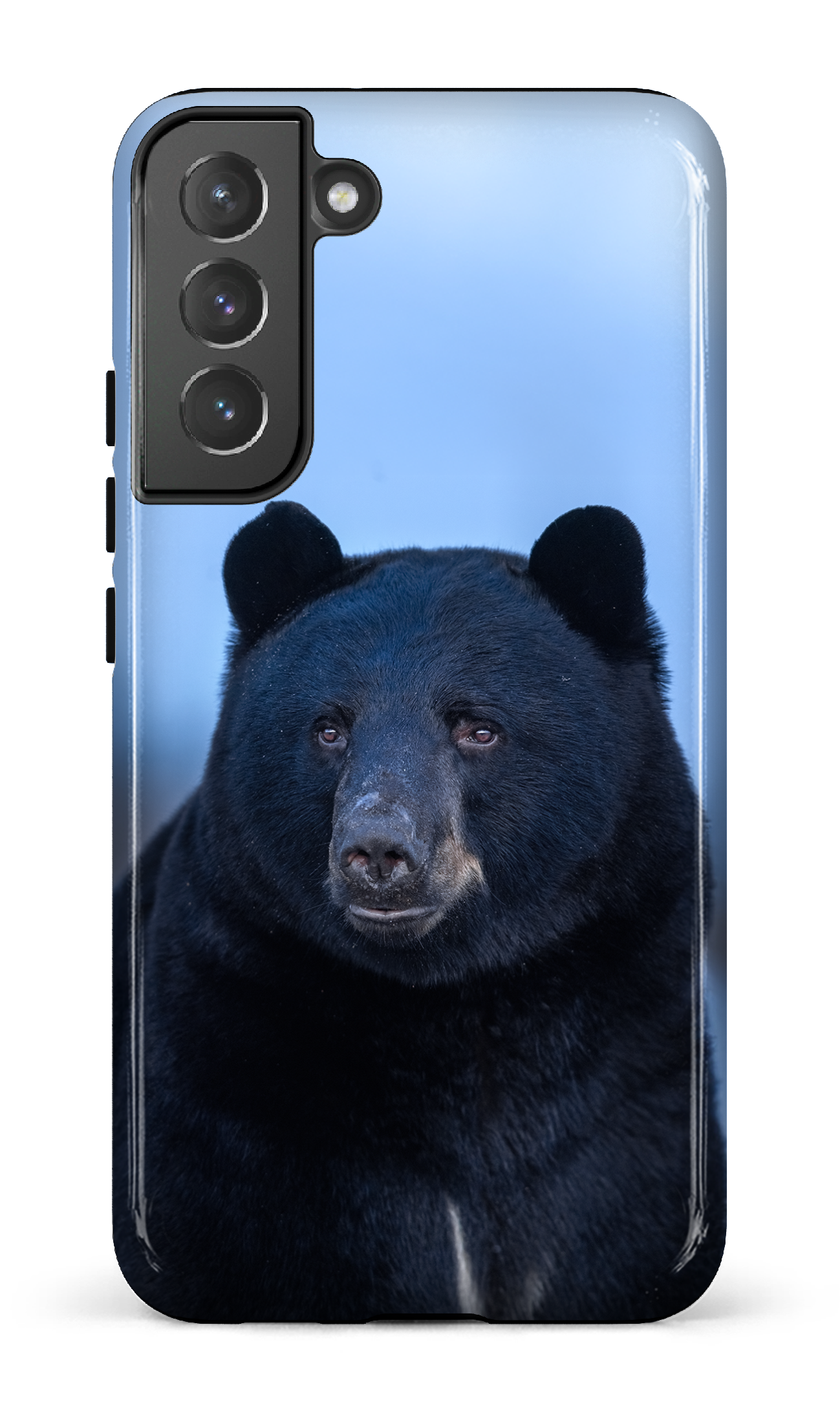 Ours bleu