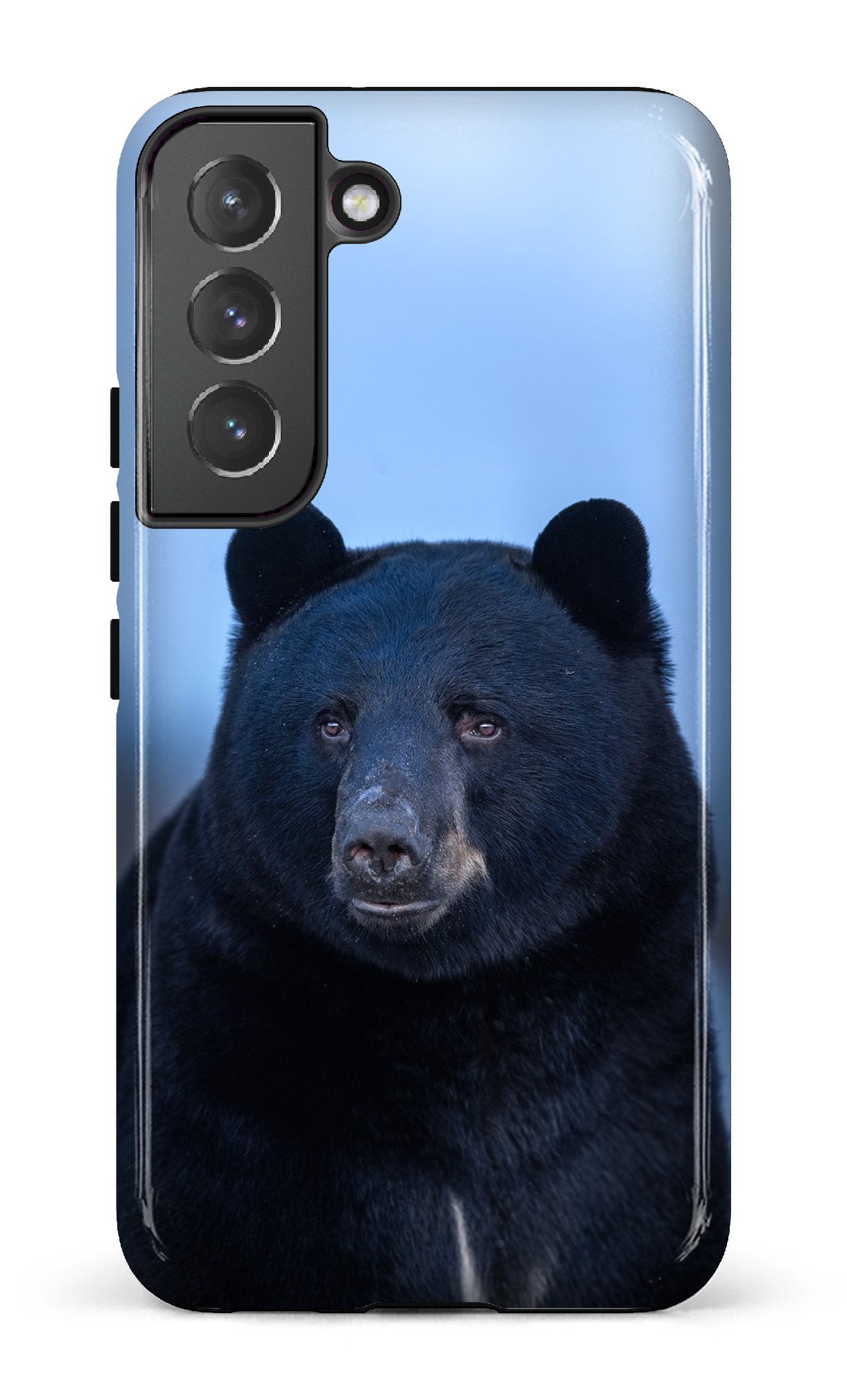 Ours bleu