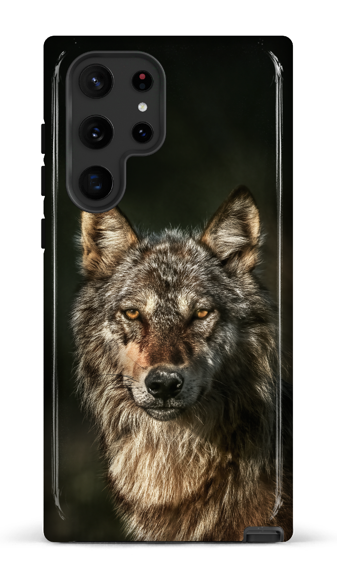 Loups