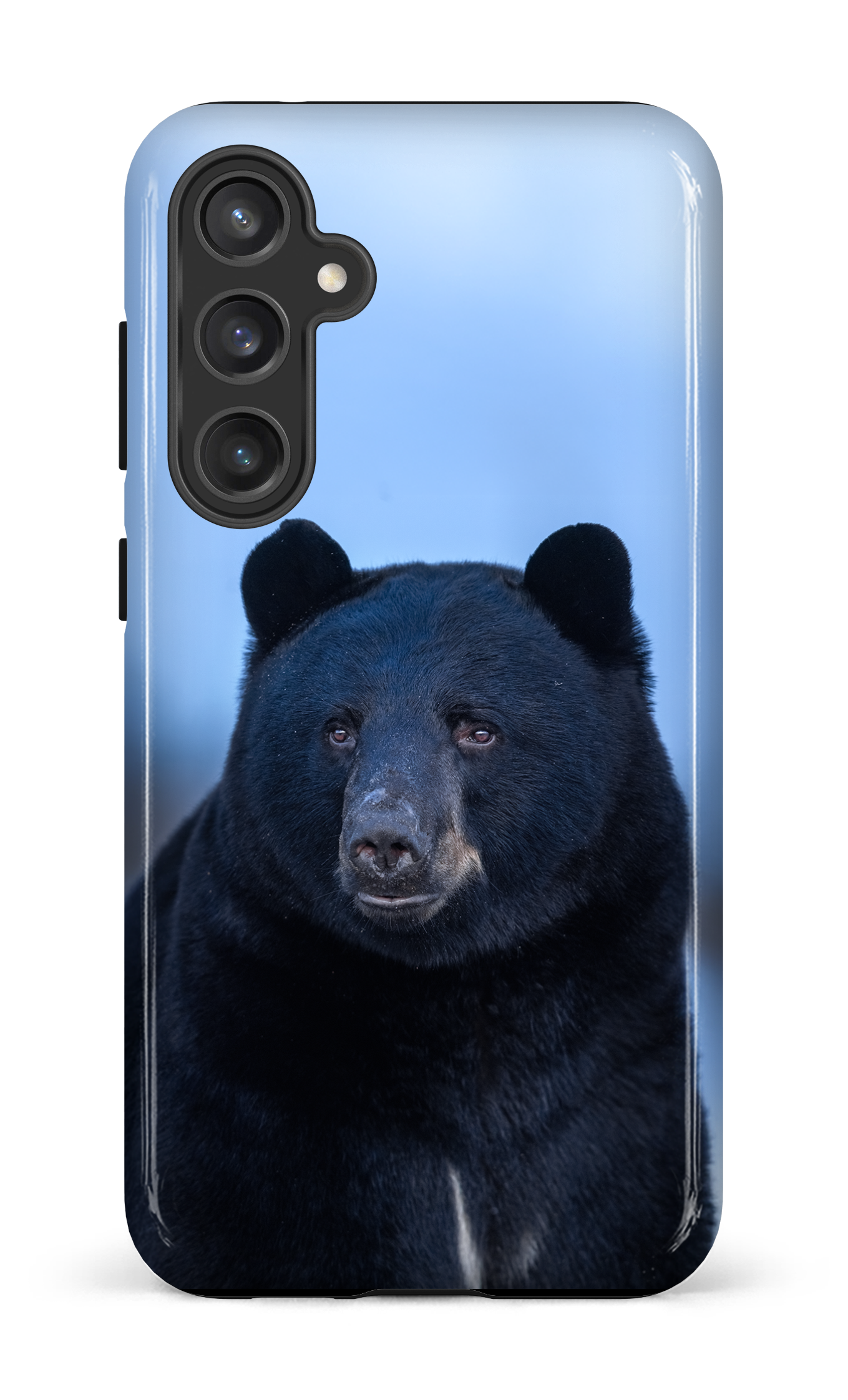 Ours bleu