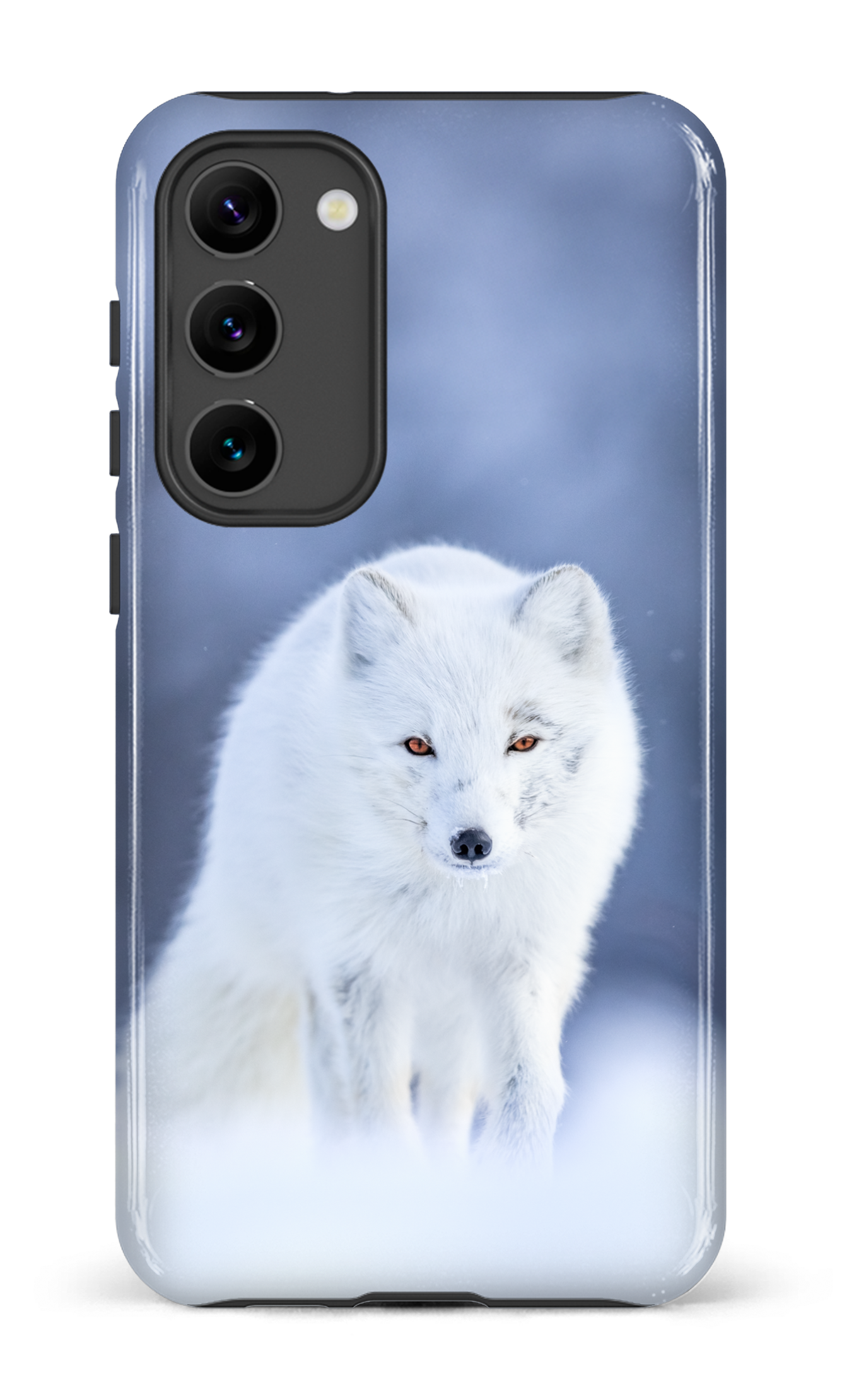 Arctique