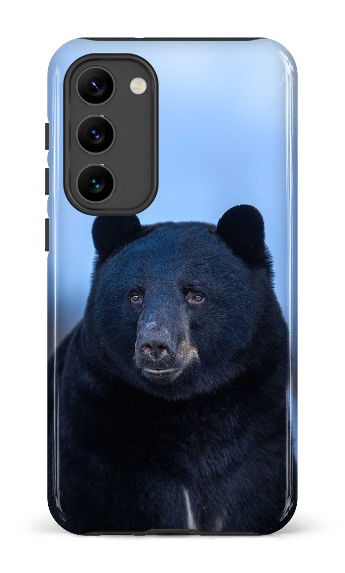 Ours bleu