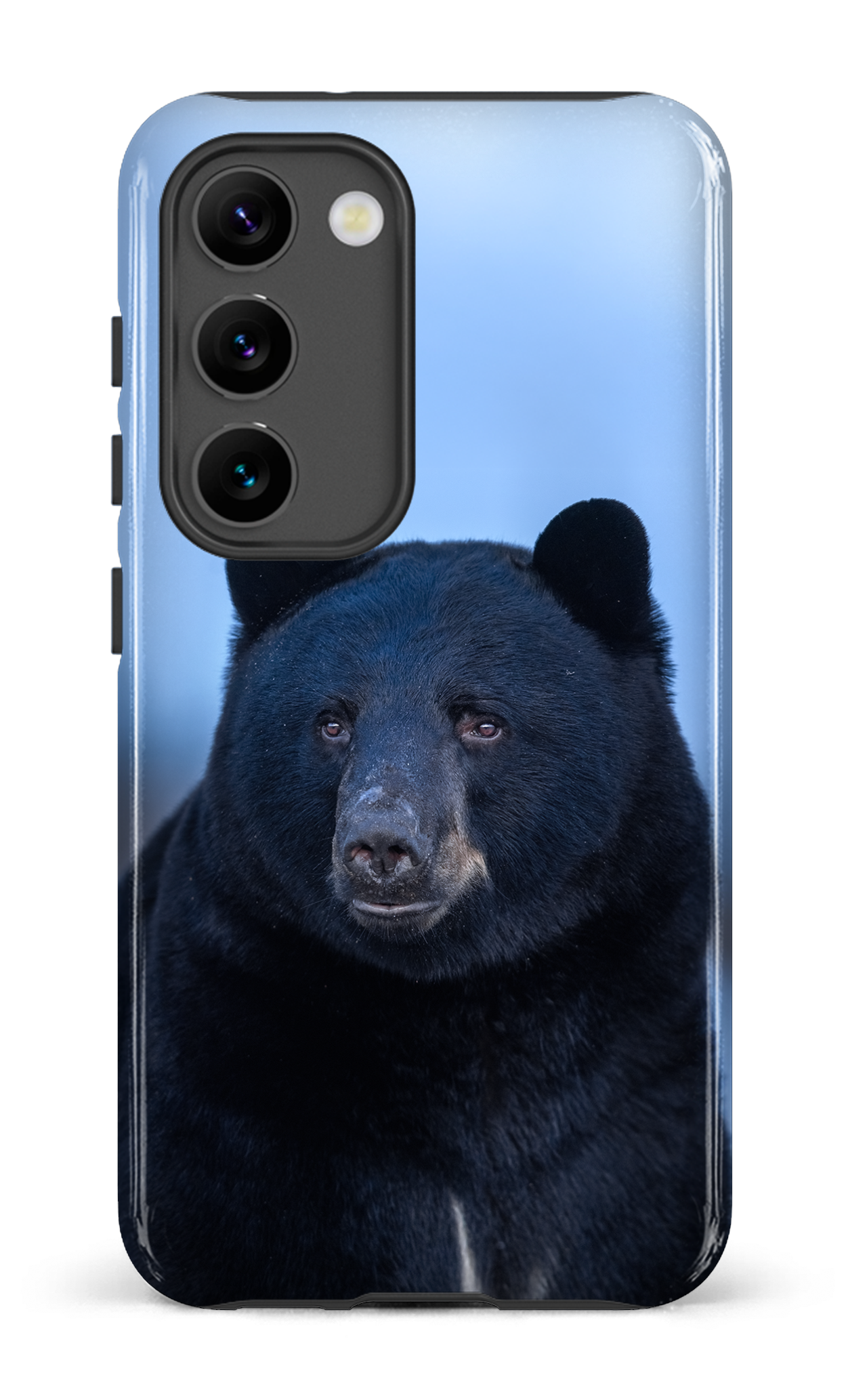 Ours bleu