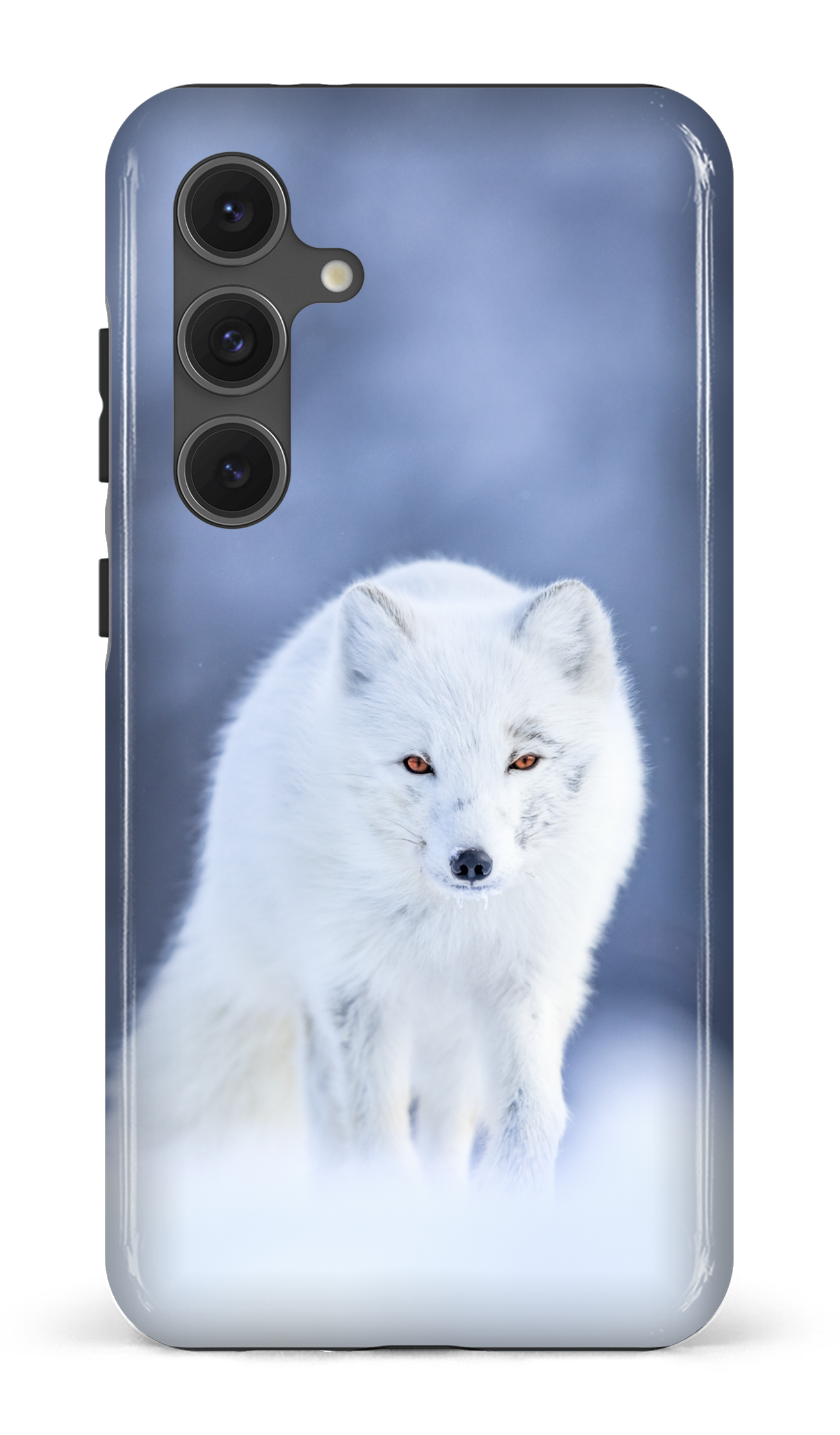 Arctique