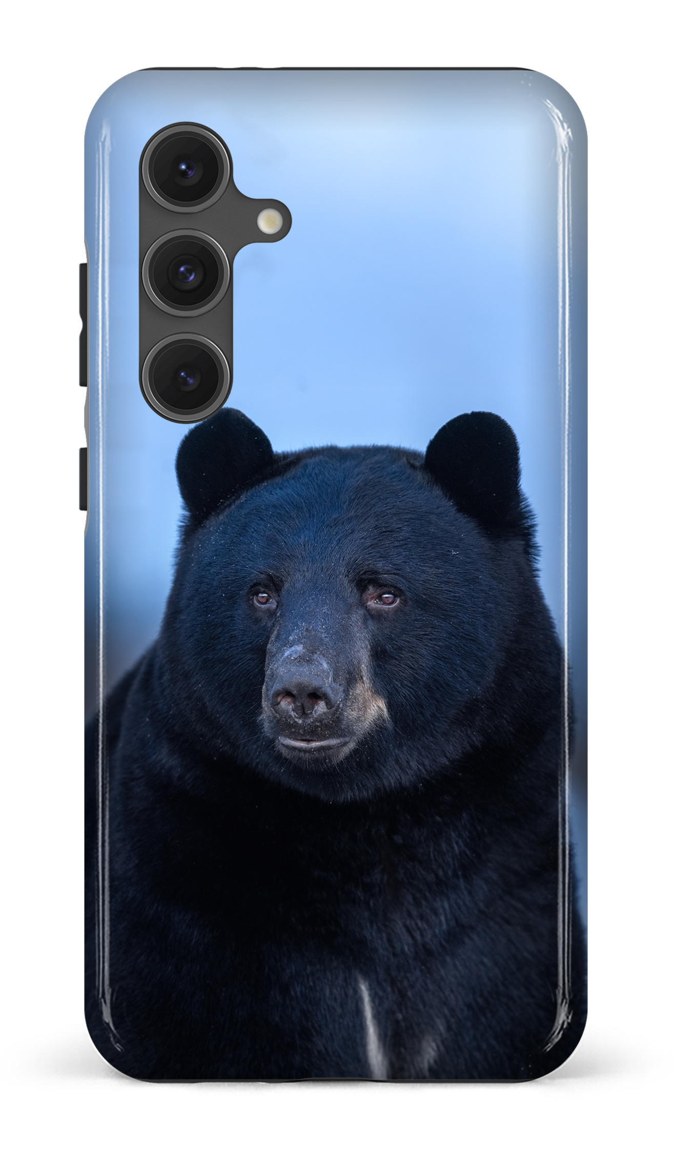 Ours bleu