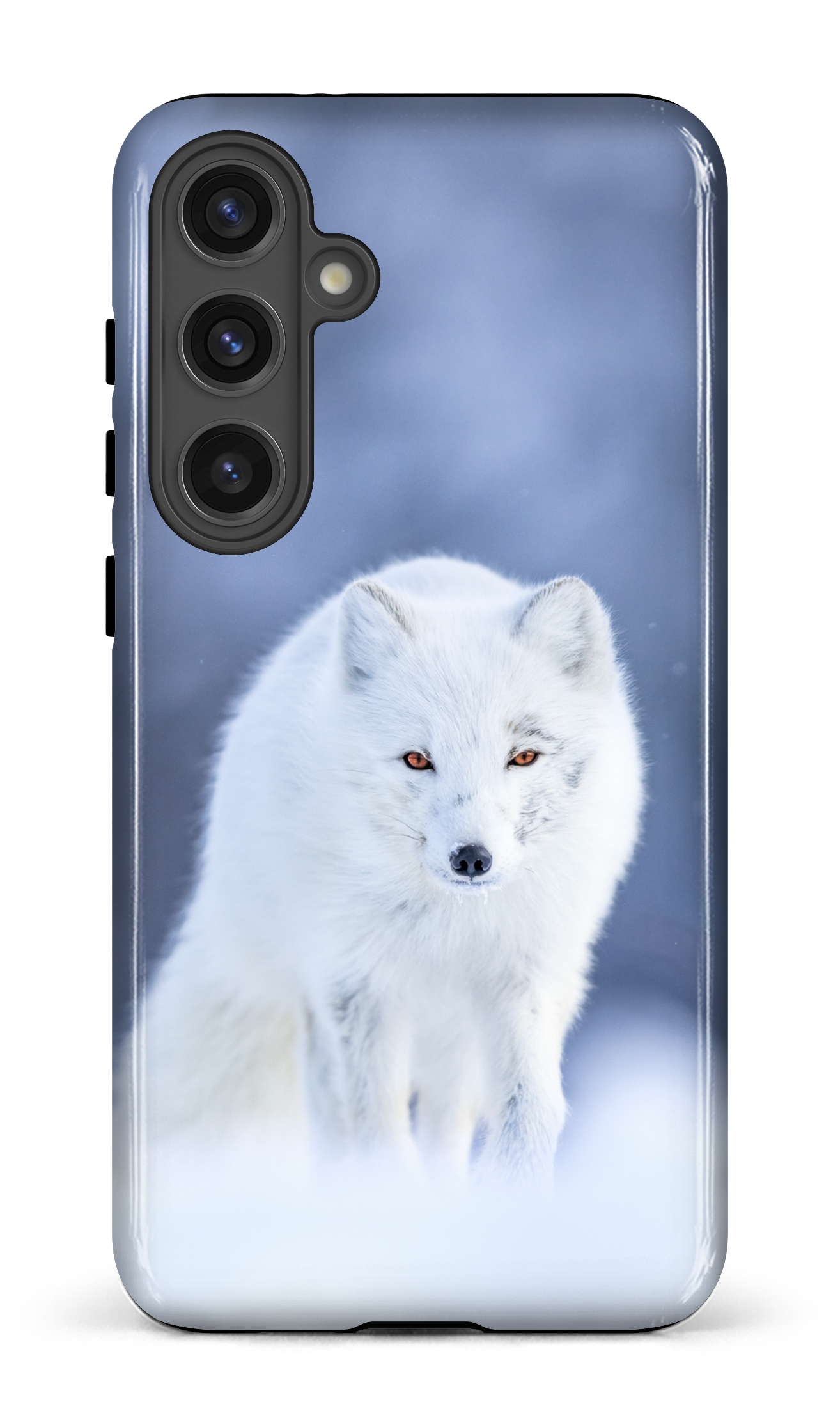 Arctique
