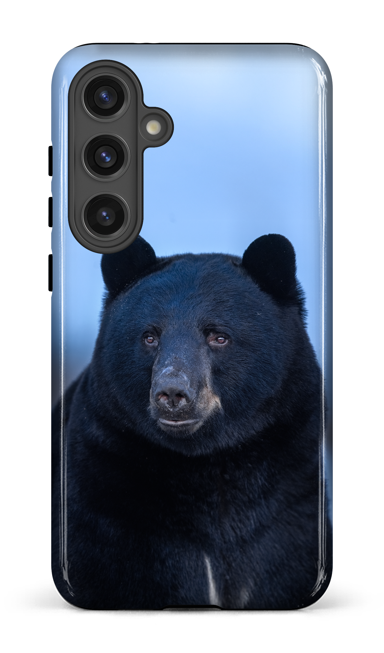 Ours bleu