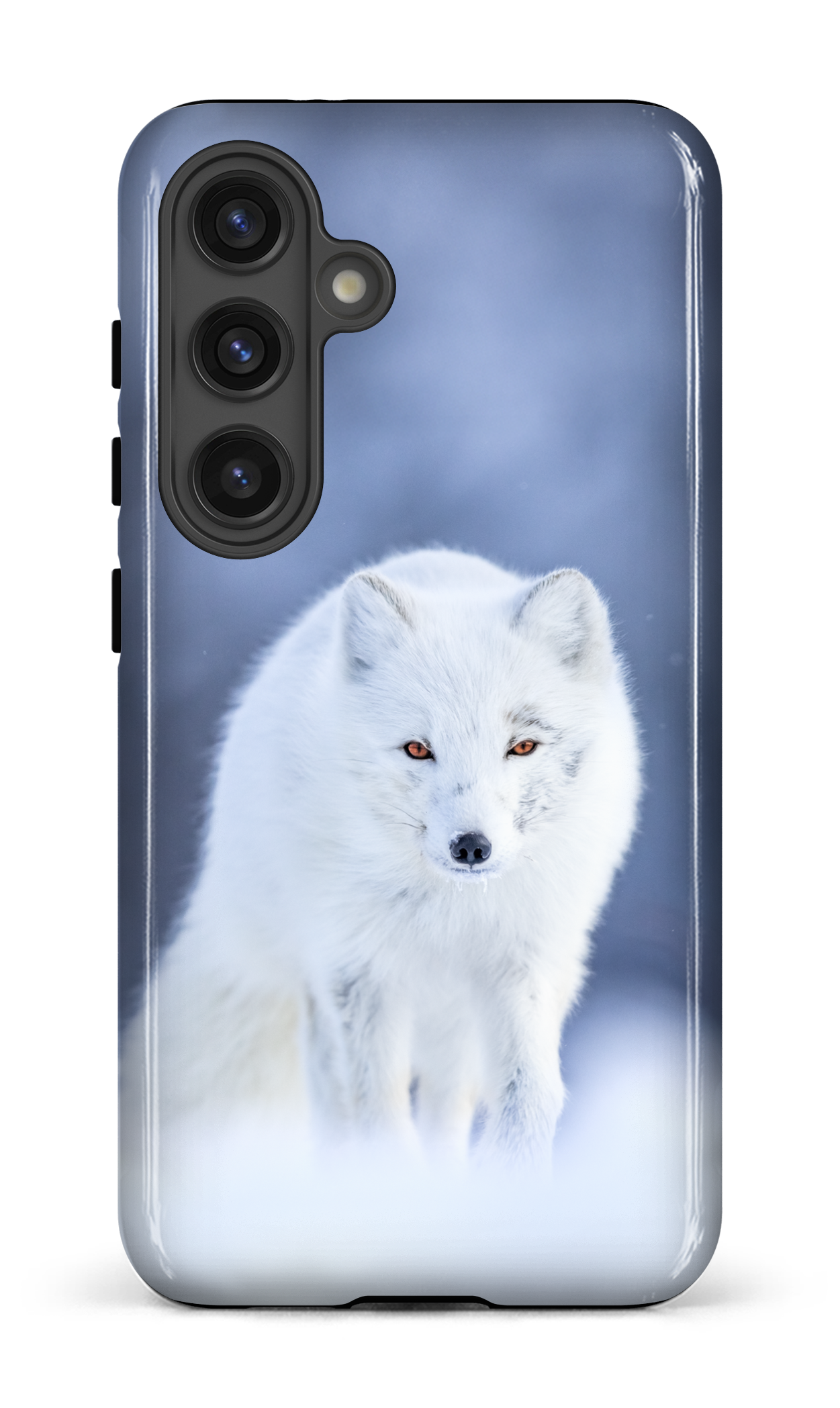Arctique