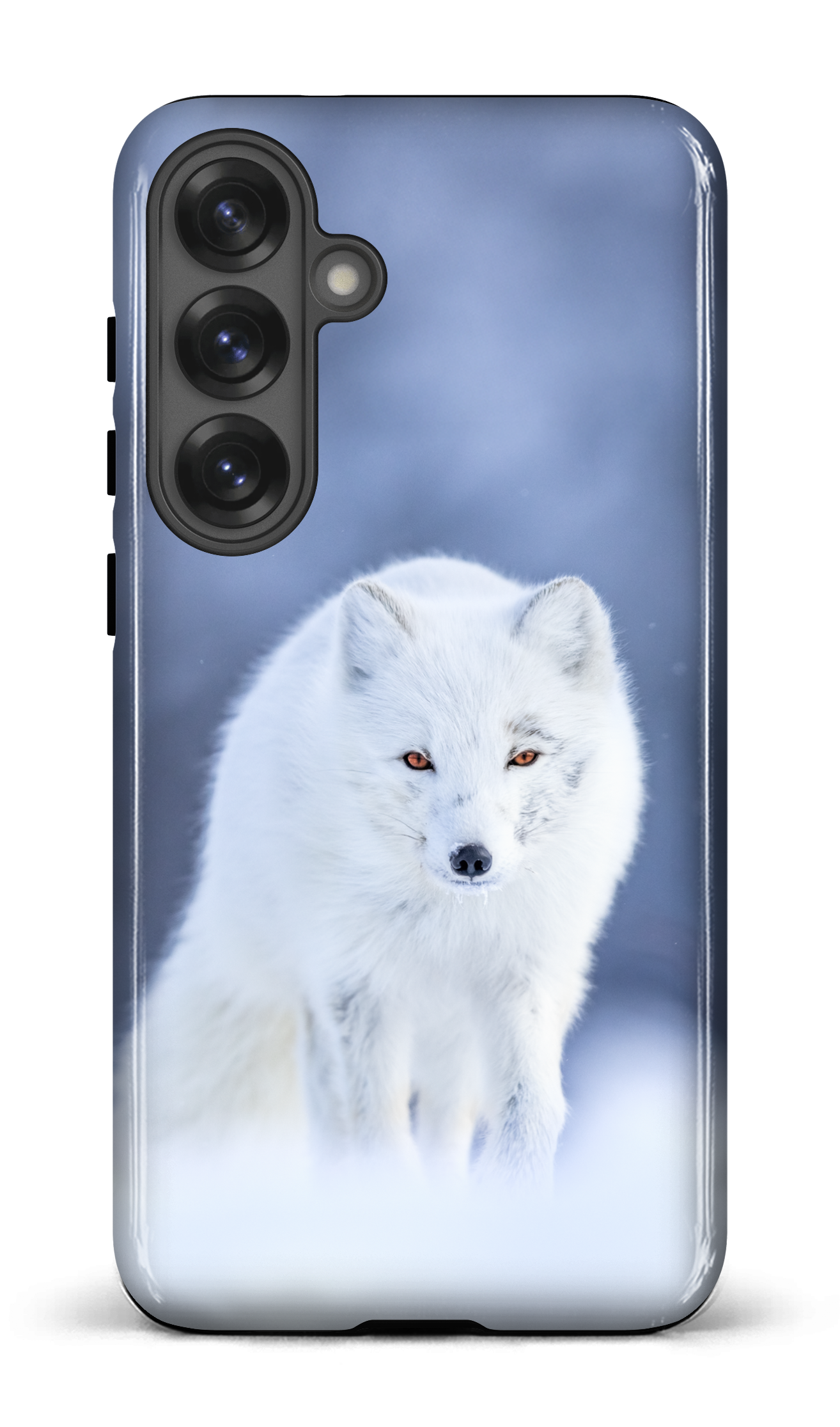 Arctique
