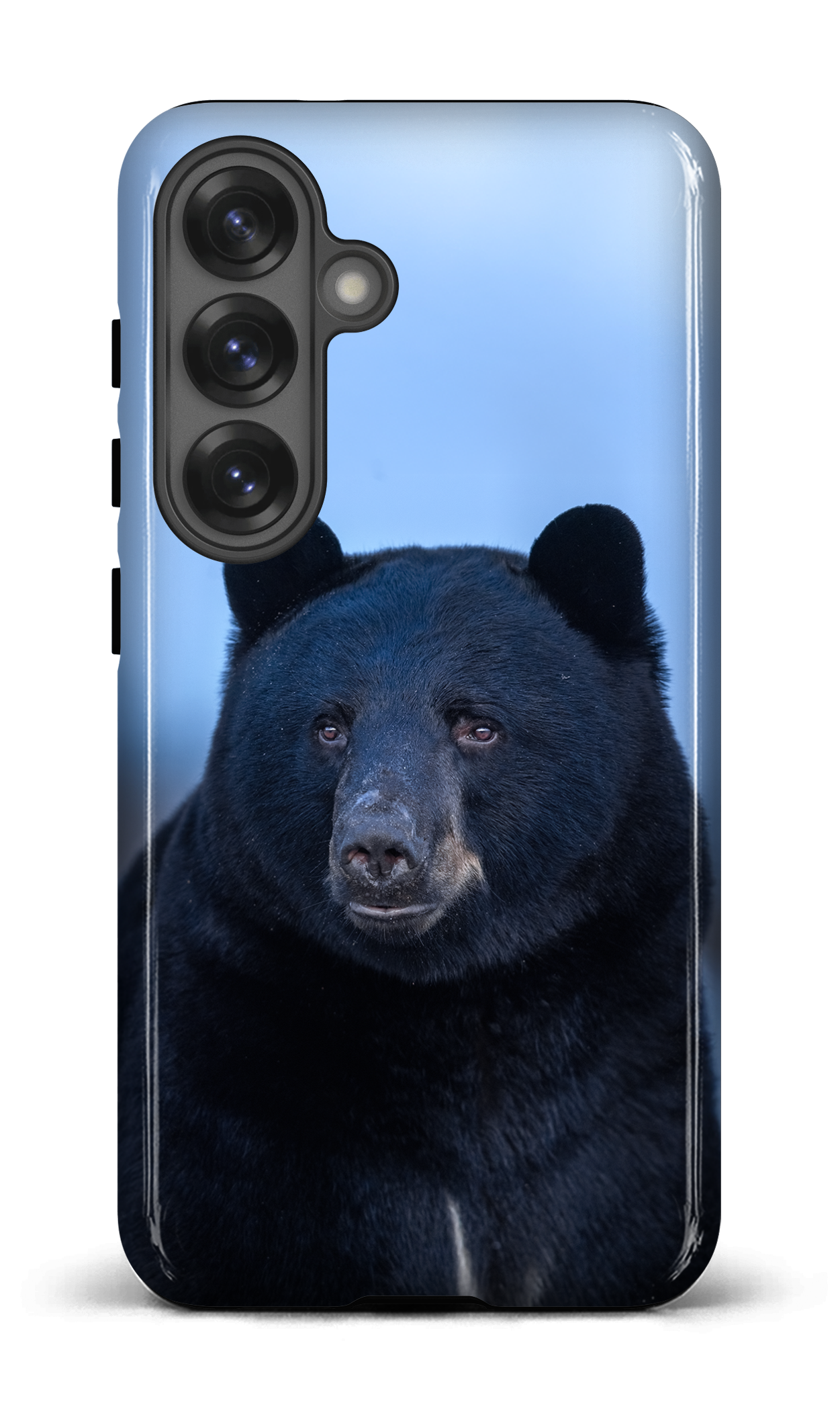 Ours bleu
