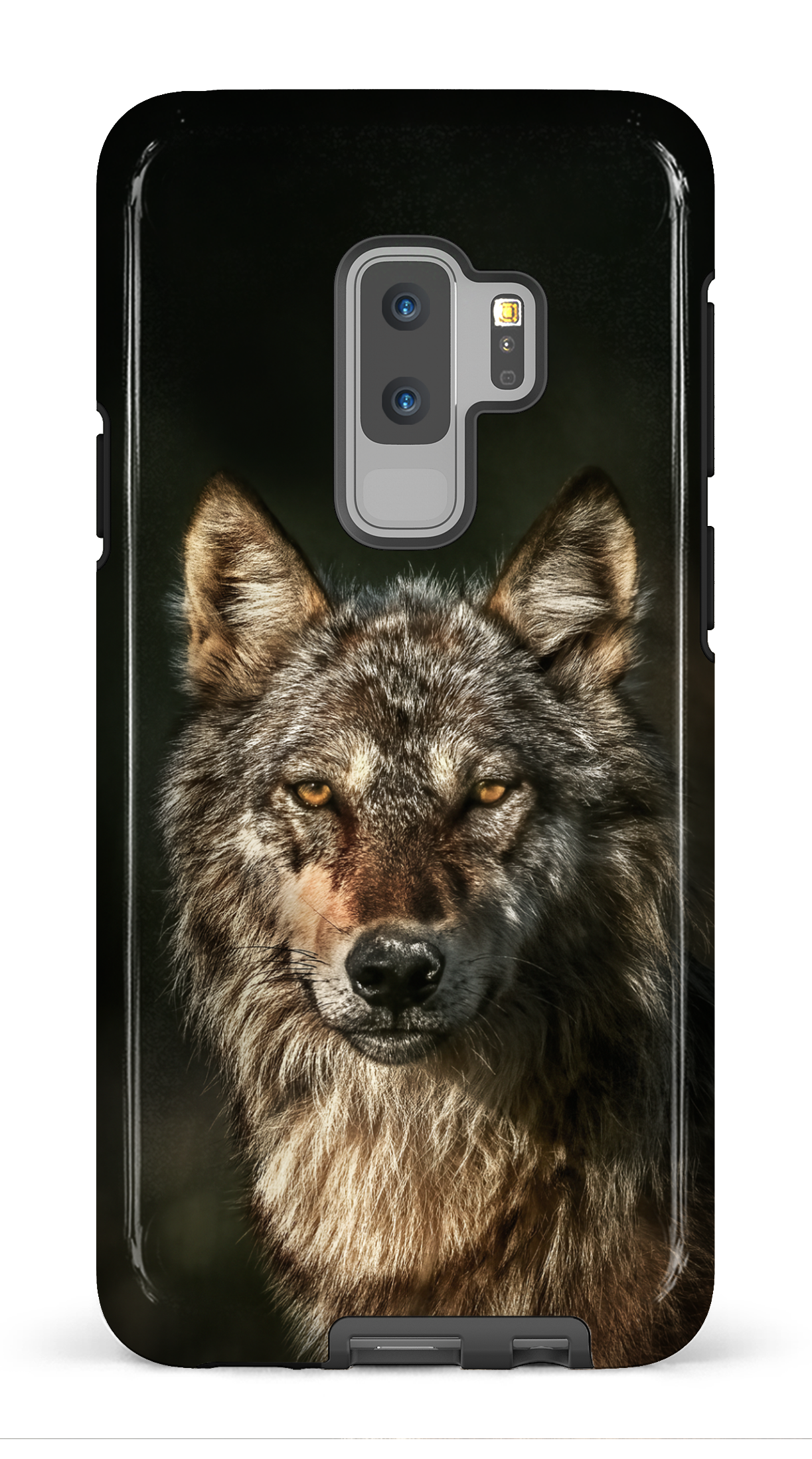 Loups