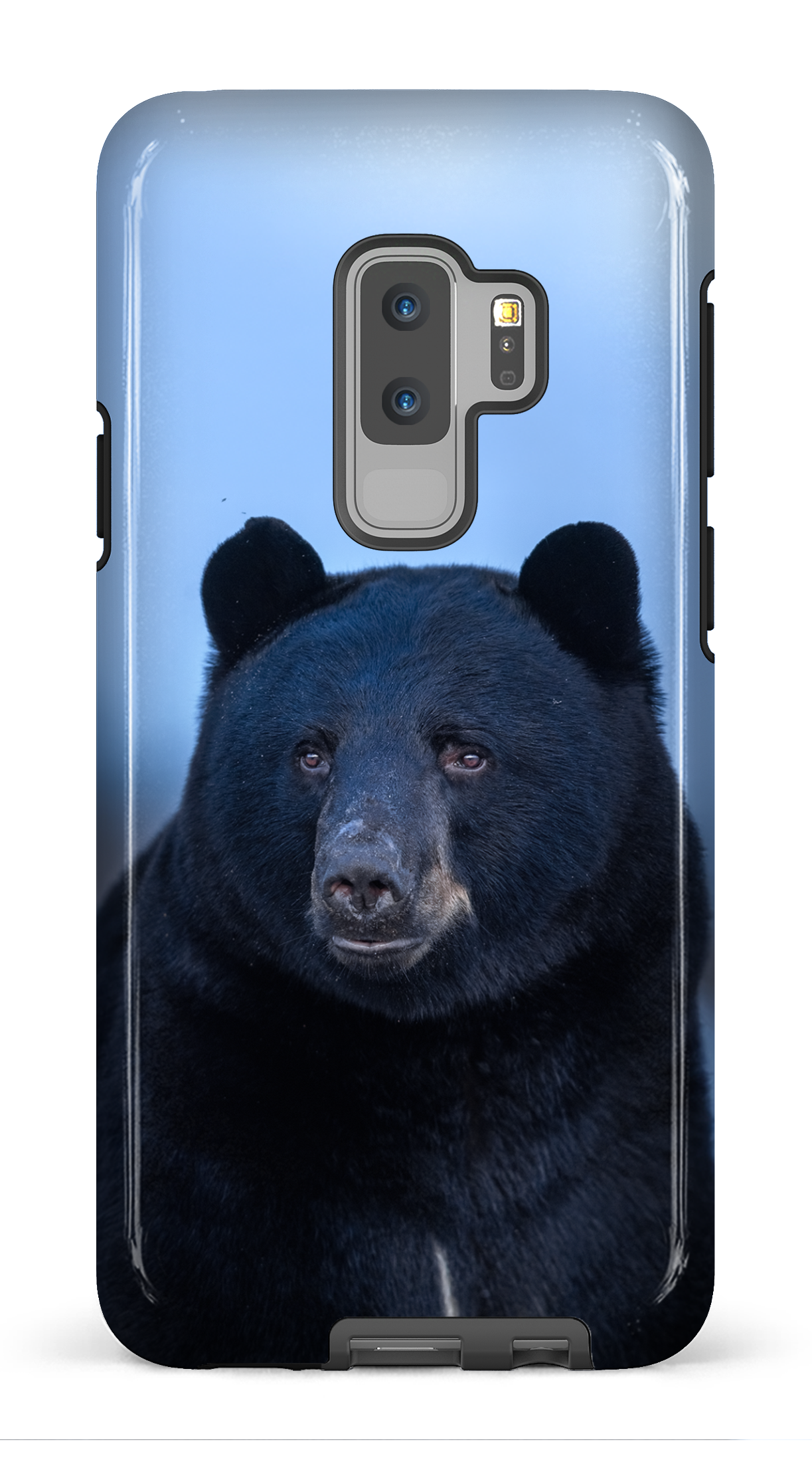 Ours bleu