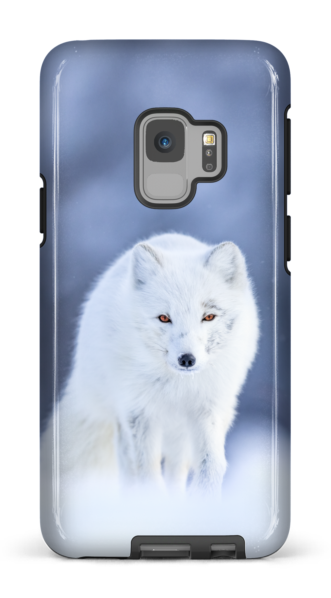 Arctique