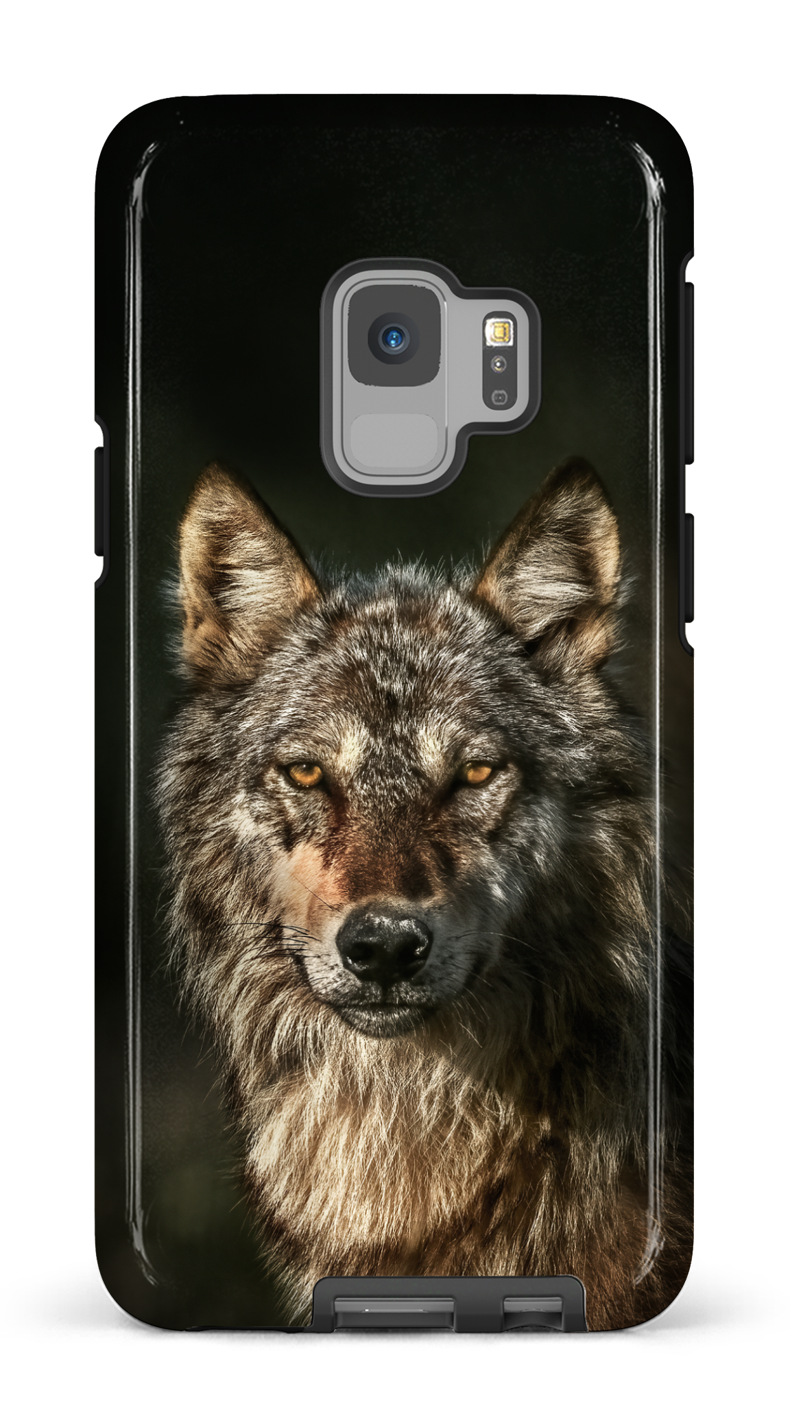 Loups