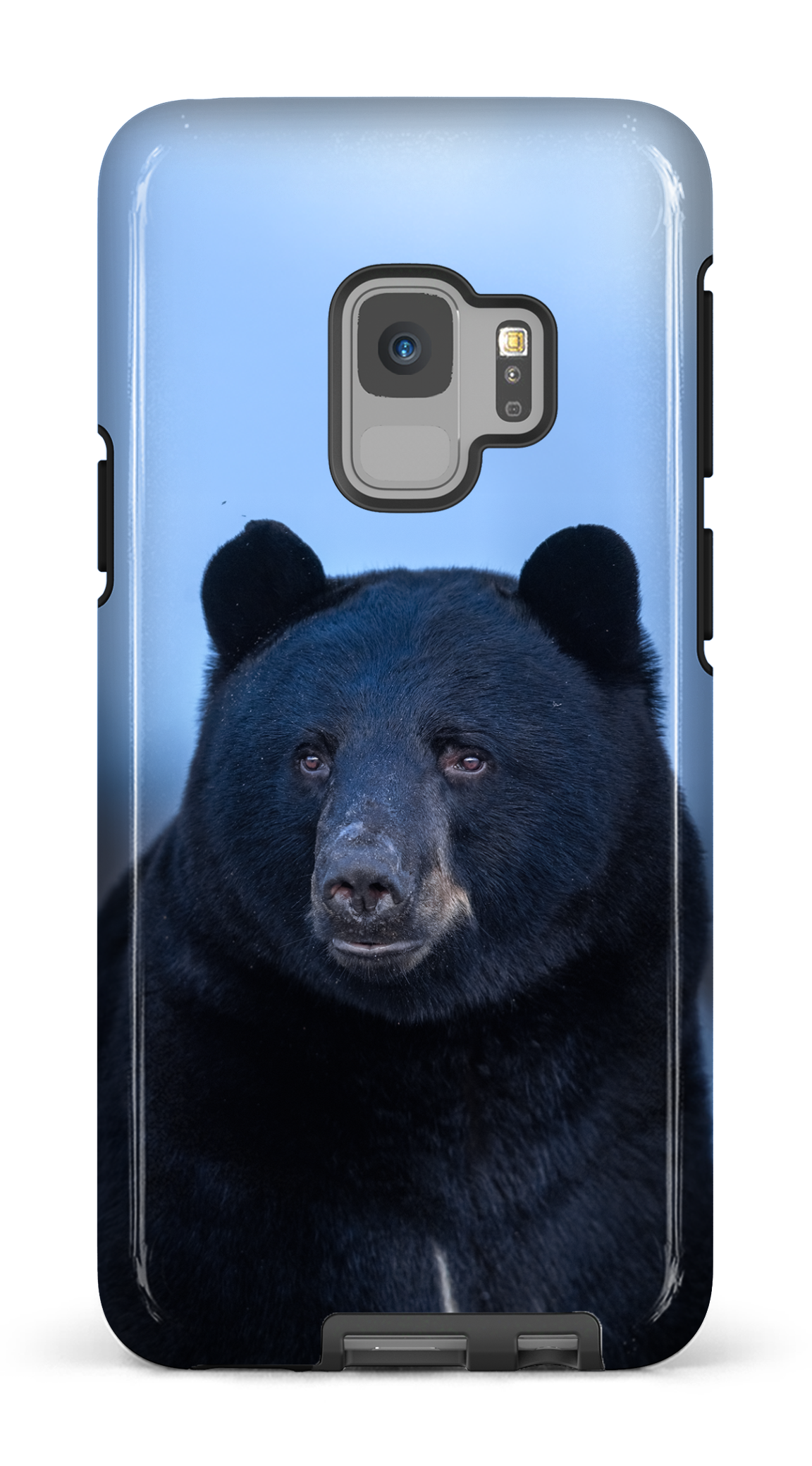 Ours bleu