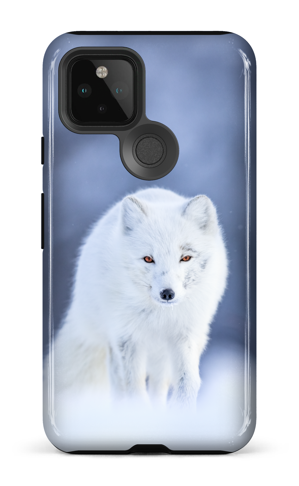 Arctique