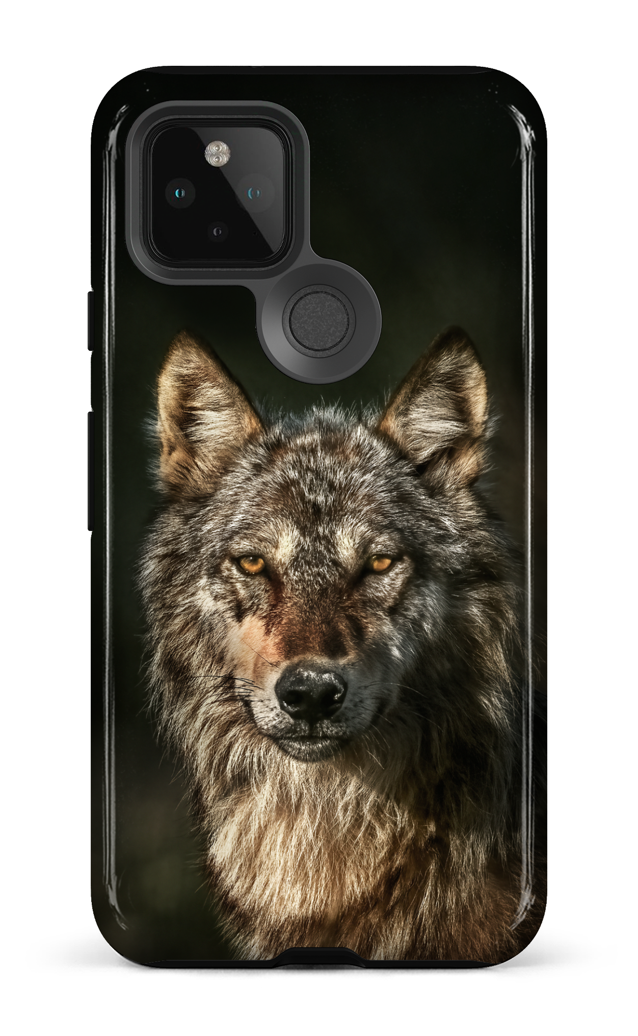 Loups