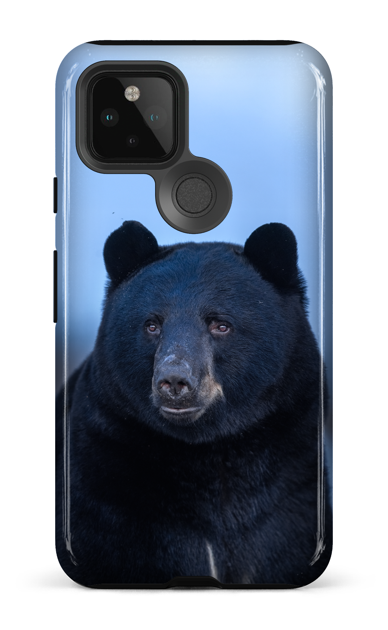 Ours bleu