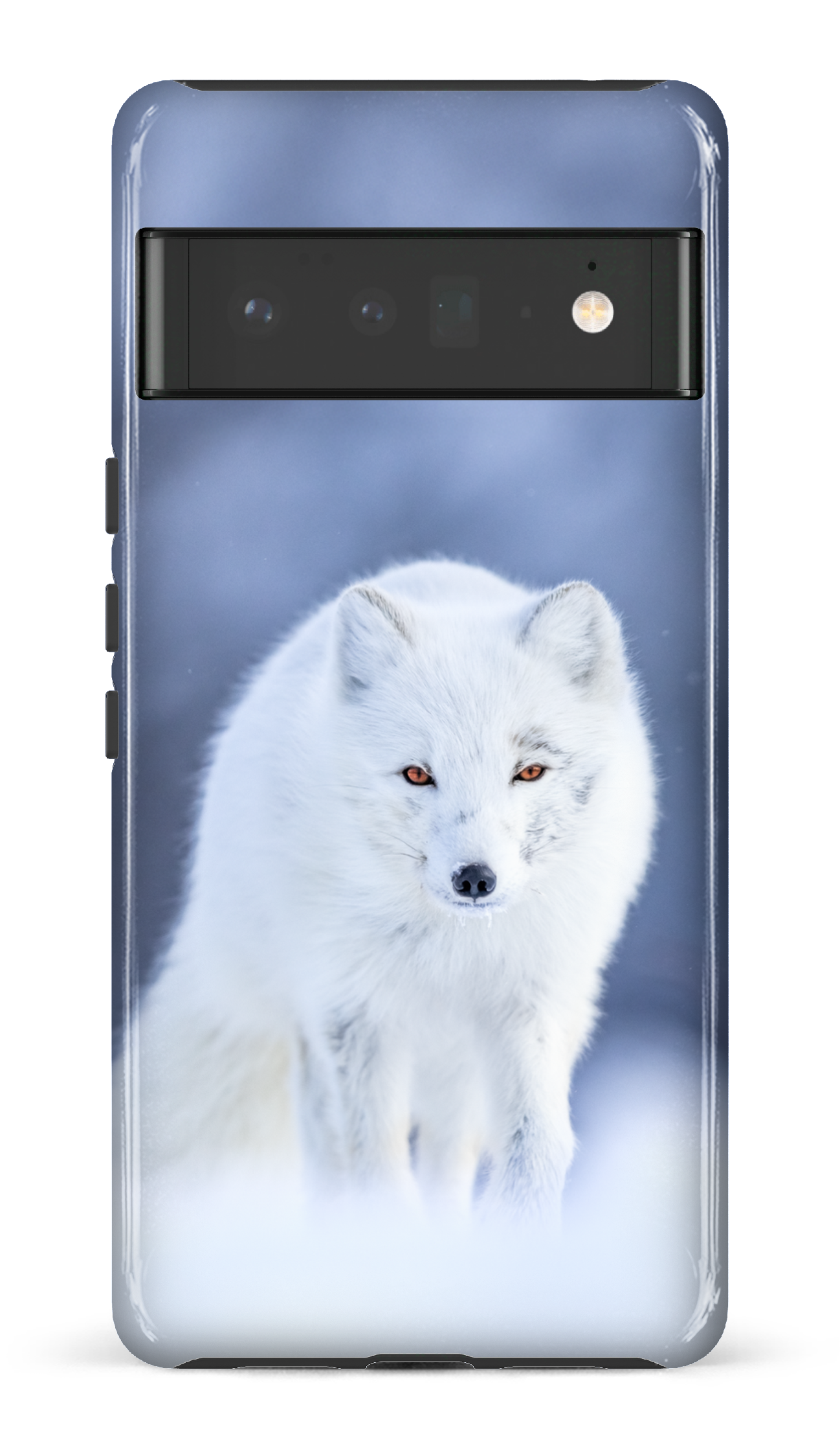 Arctique