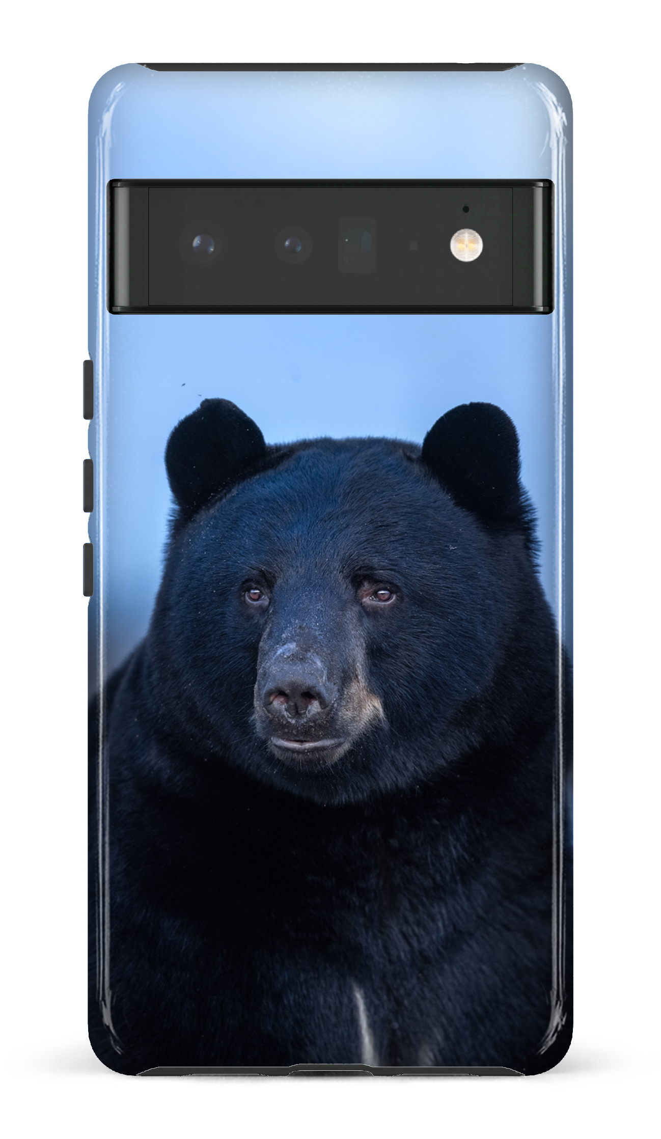 Ours bleu