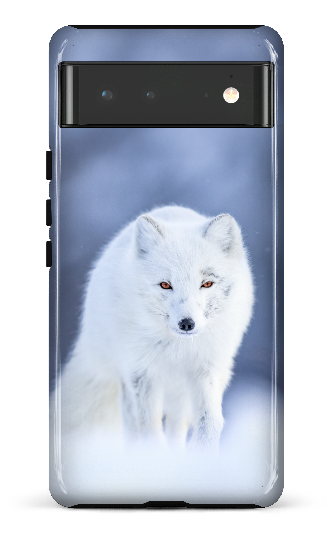 Arctique