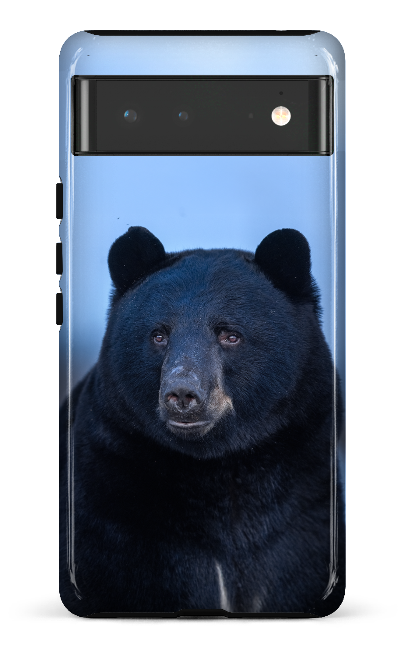 Ours bleu