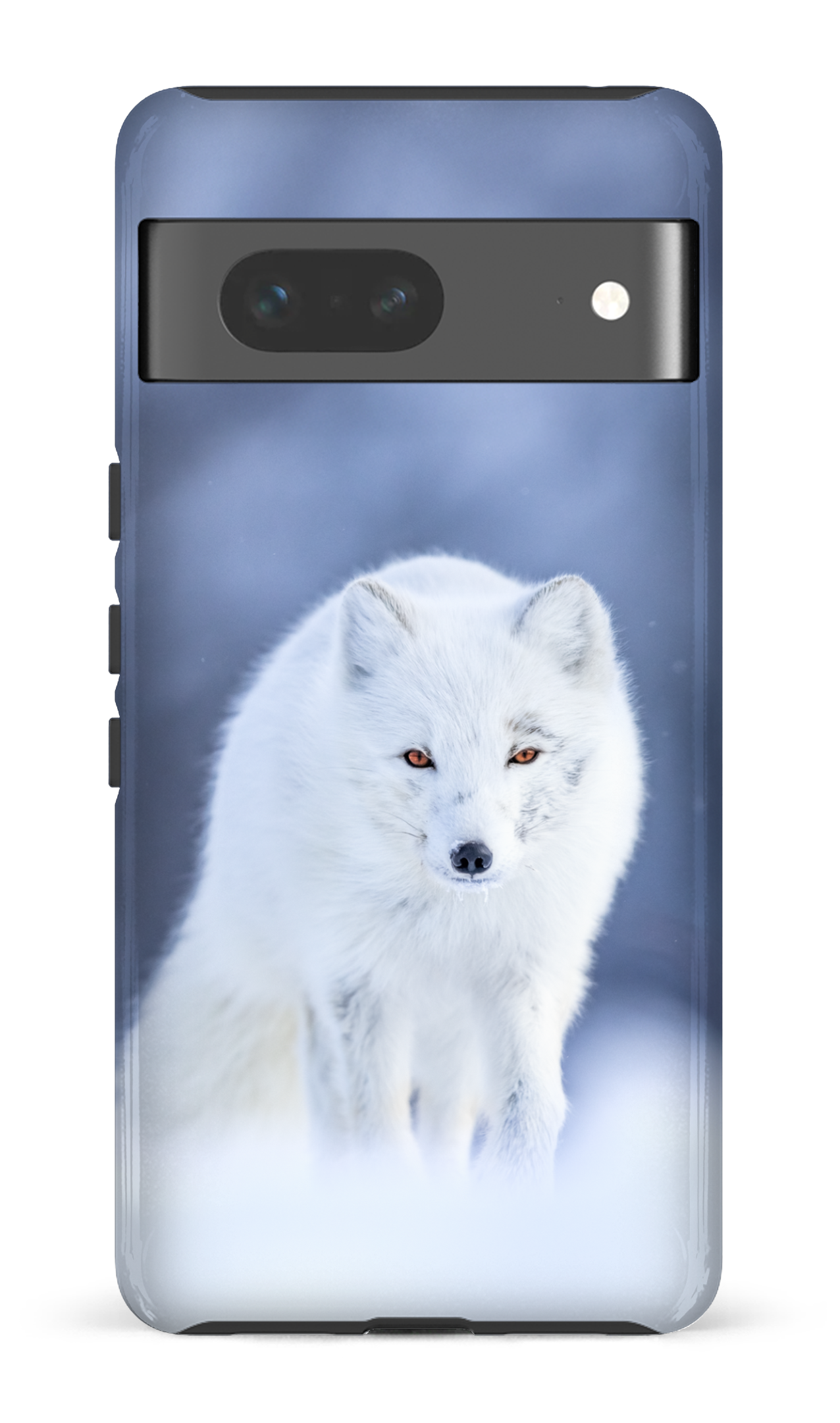 Arctique