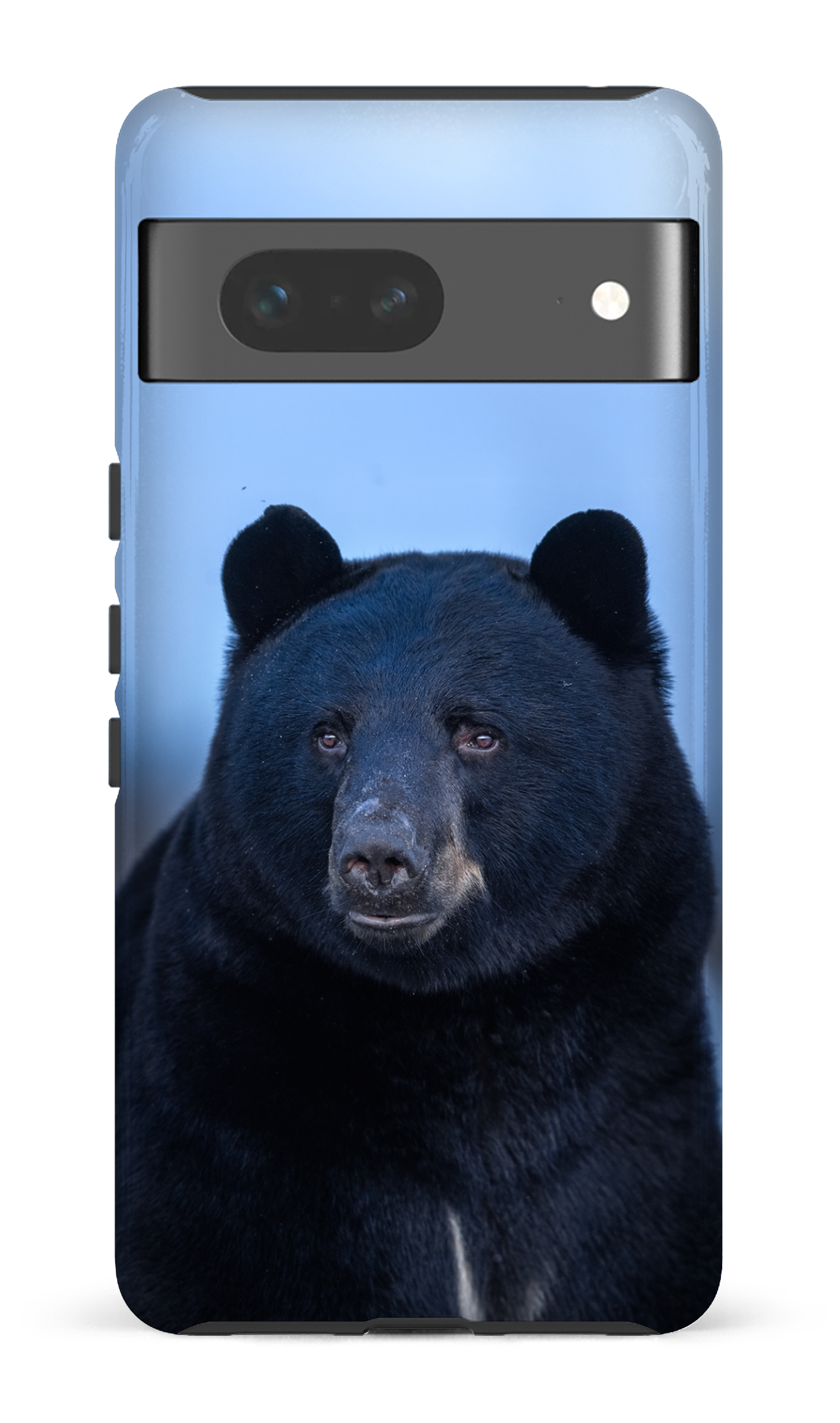 Ours bleu