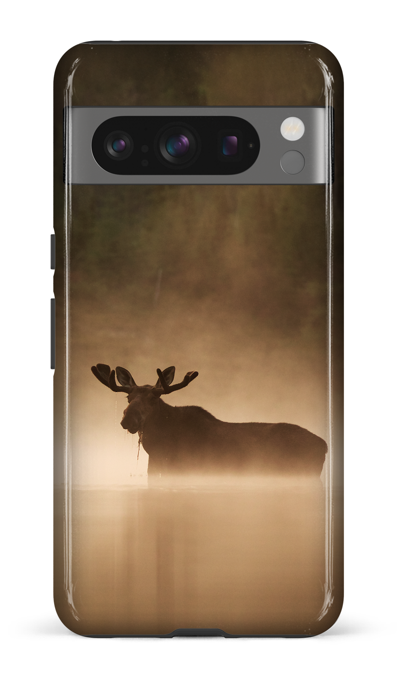 Brume et chaleur