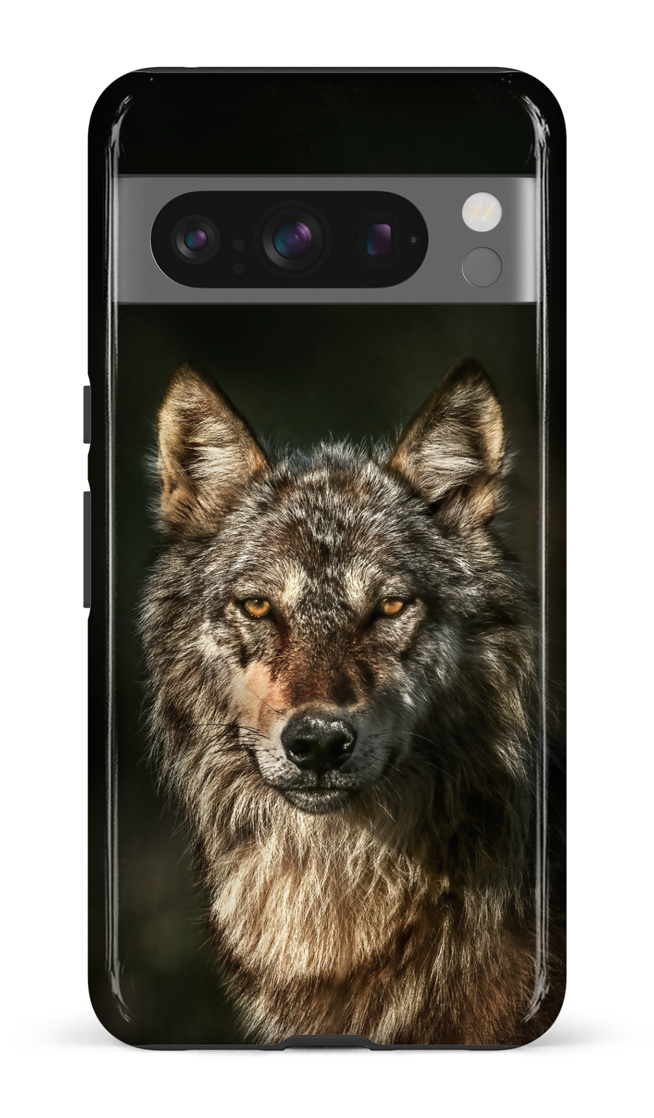 Loups