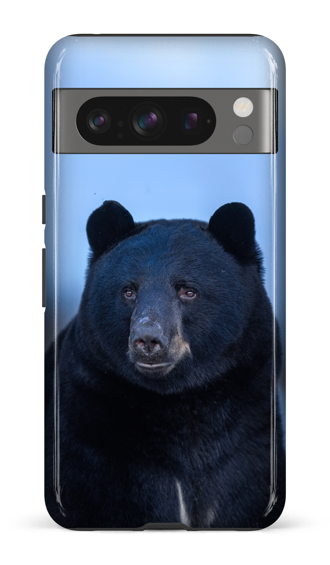 Ours bleu