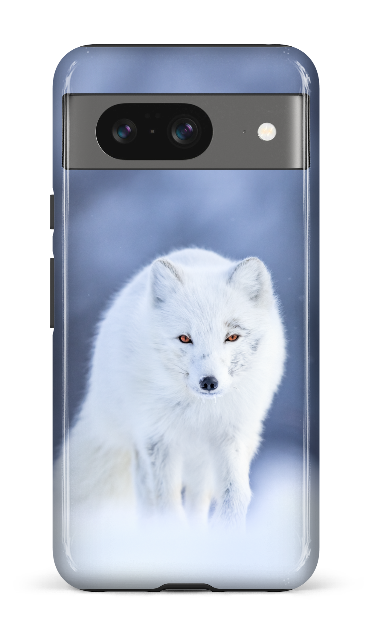 Arctique