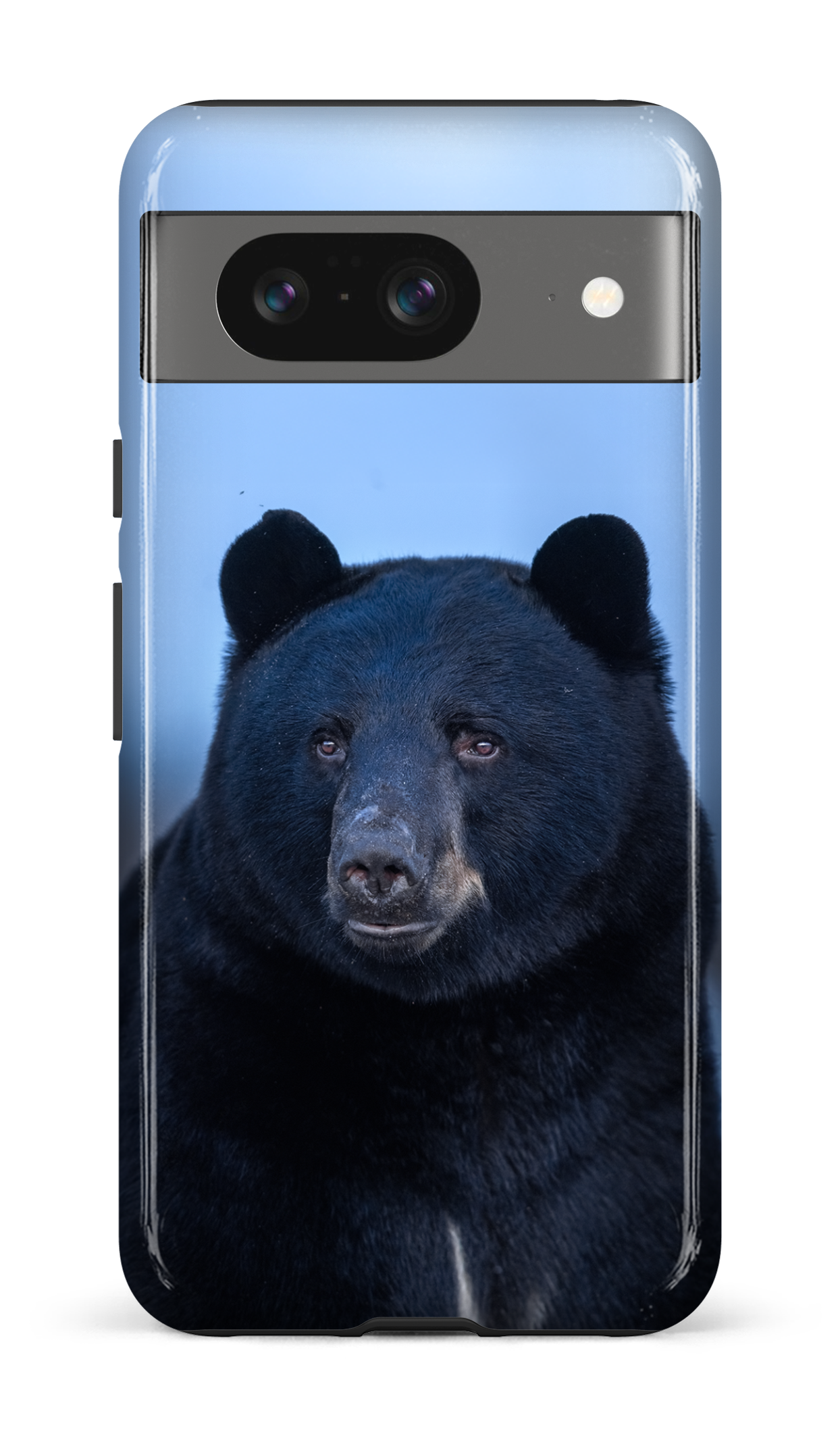 Ours bleu