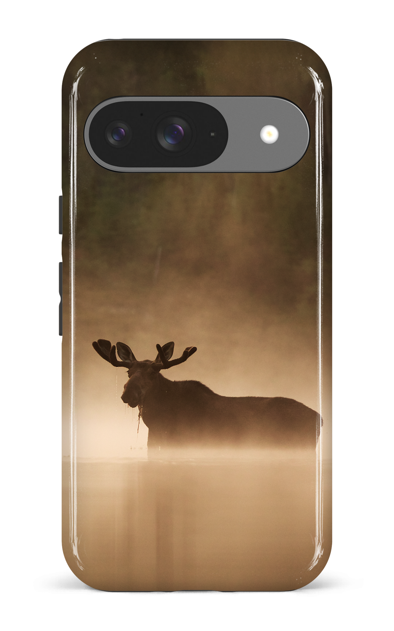 Brume et chaleur