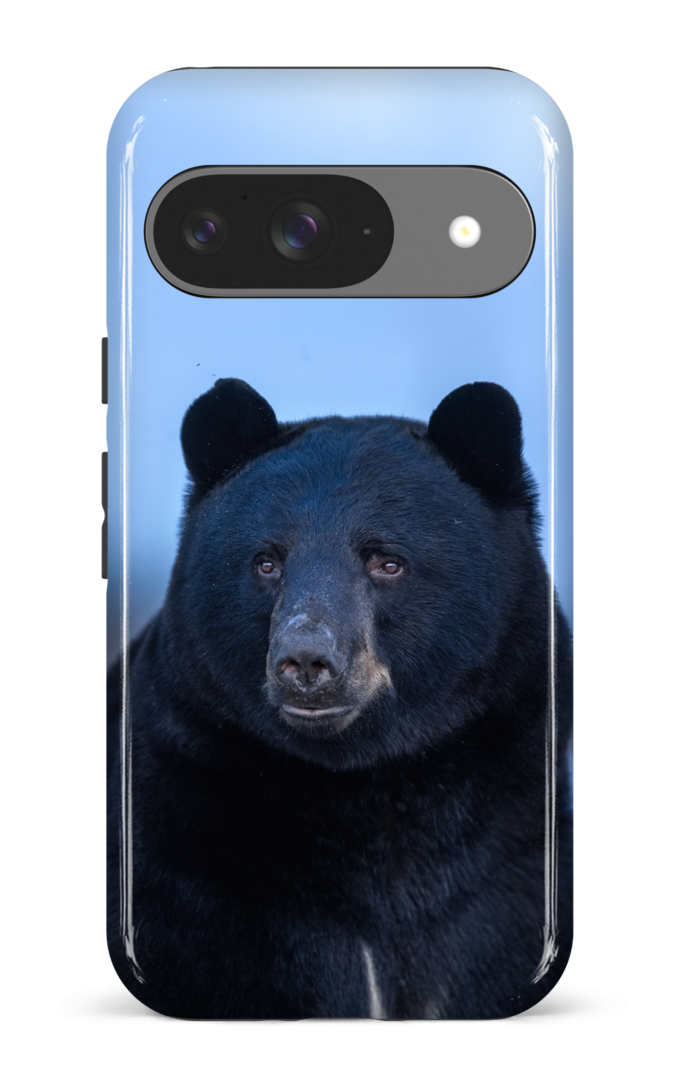 Ours bleu