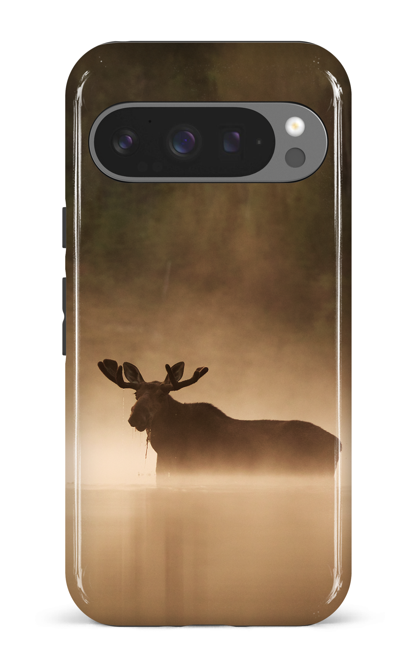 Brume et chaleur