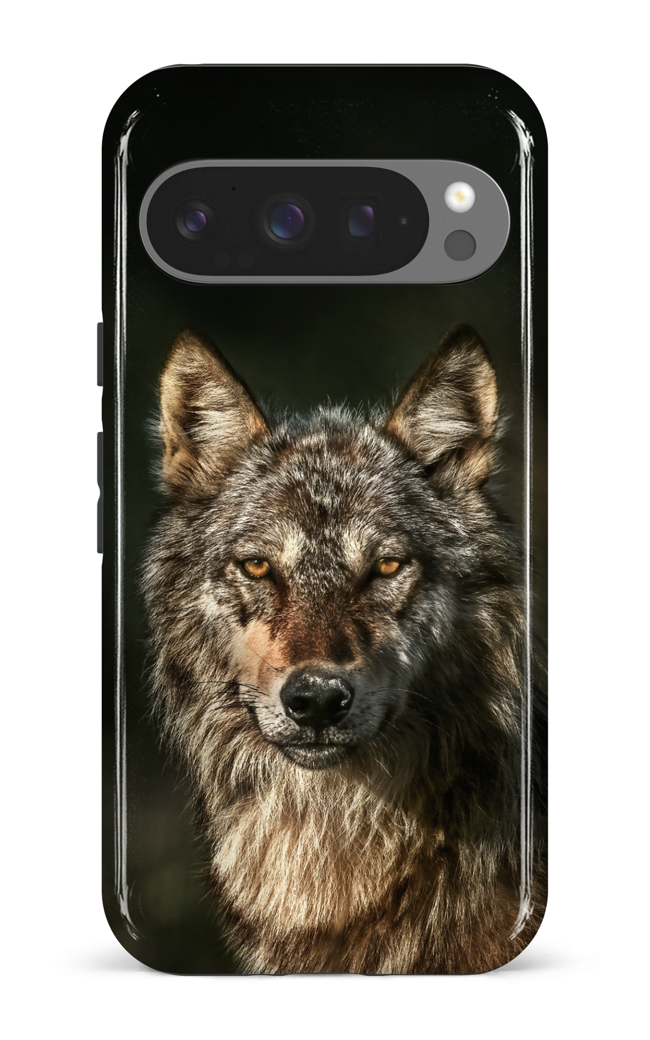 Loups