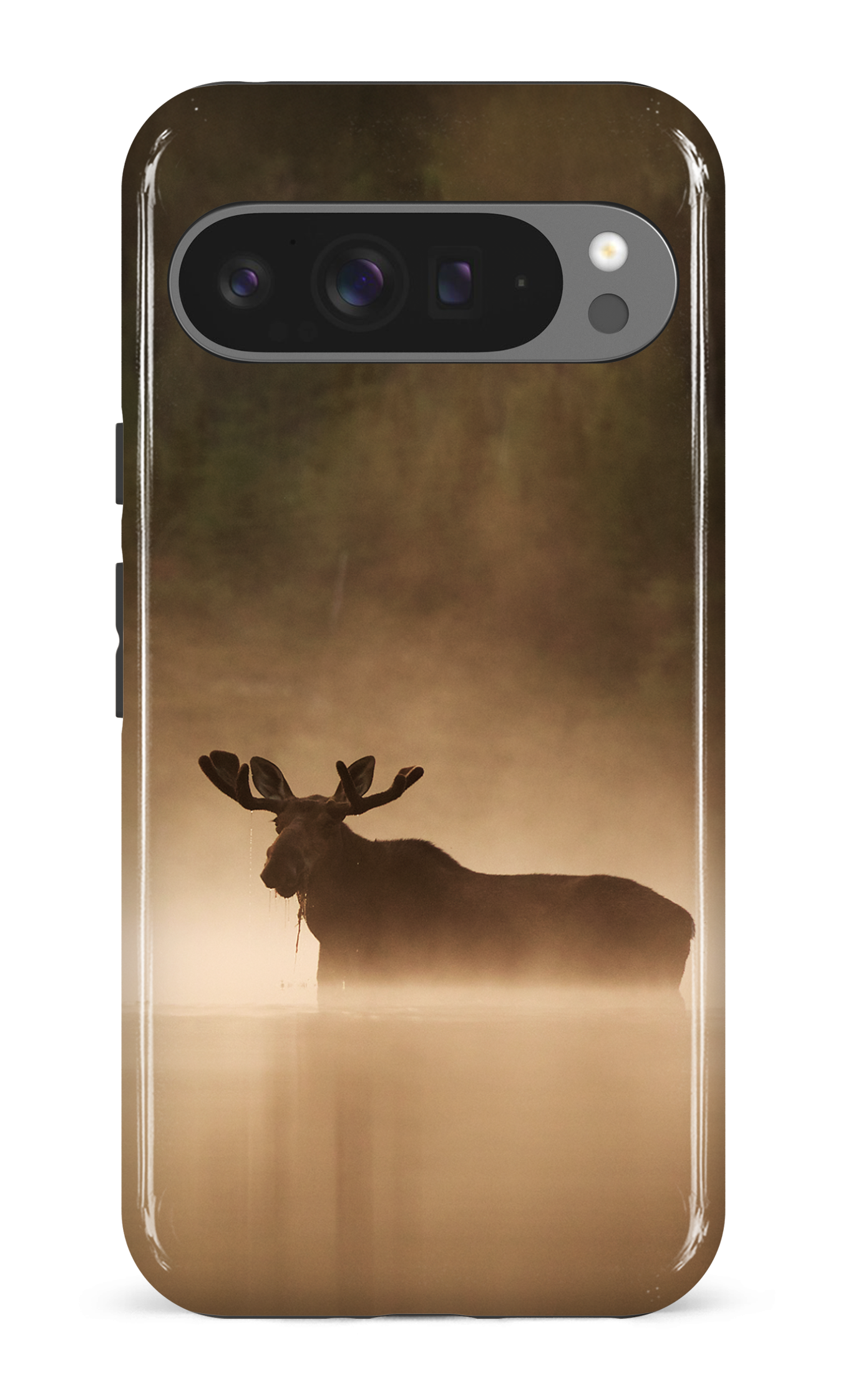 Brume et chaleur