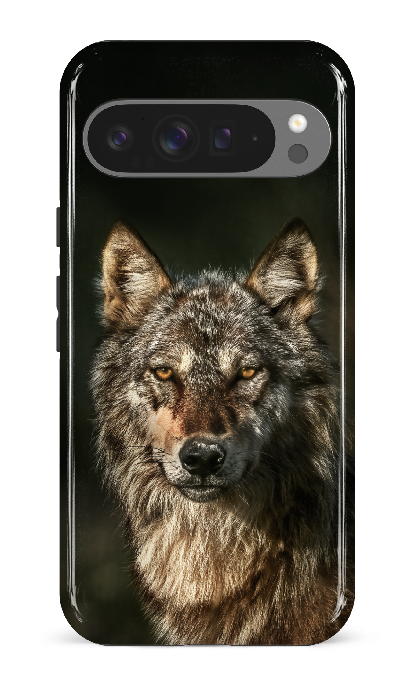 Loups