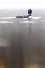 Plongeon huard 088